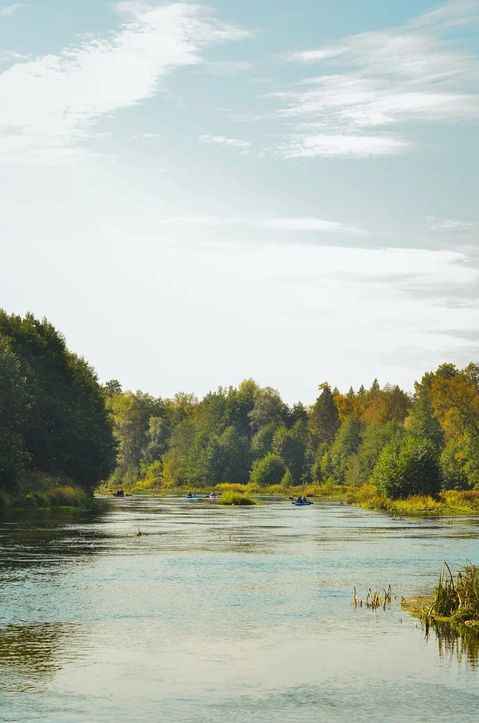 Семейный сплав по реке Малая Кокшага, Марий Эл.