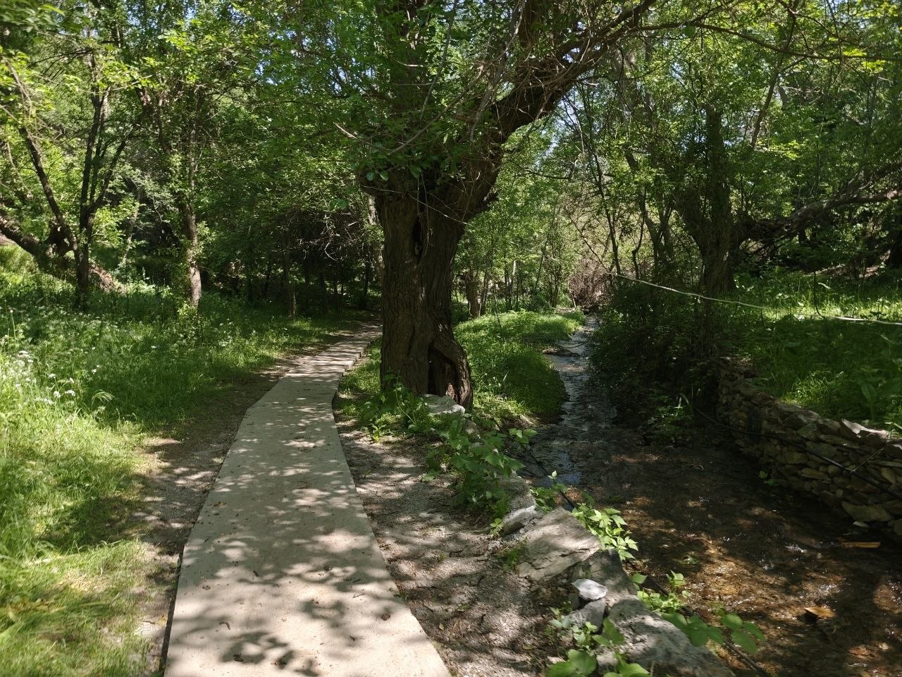 Тайны Гелона и величие Шахрисабза