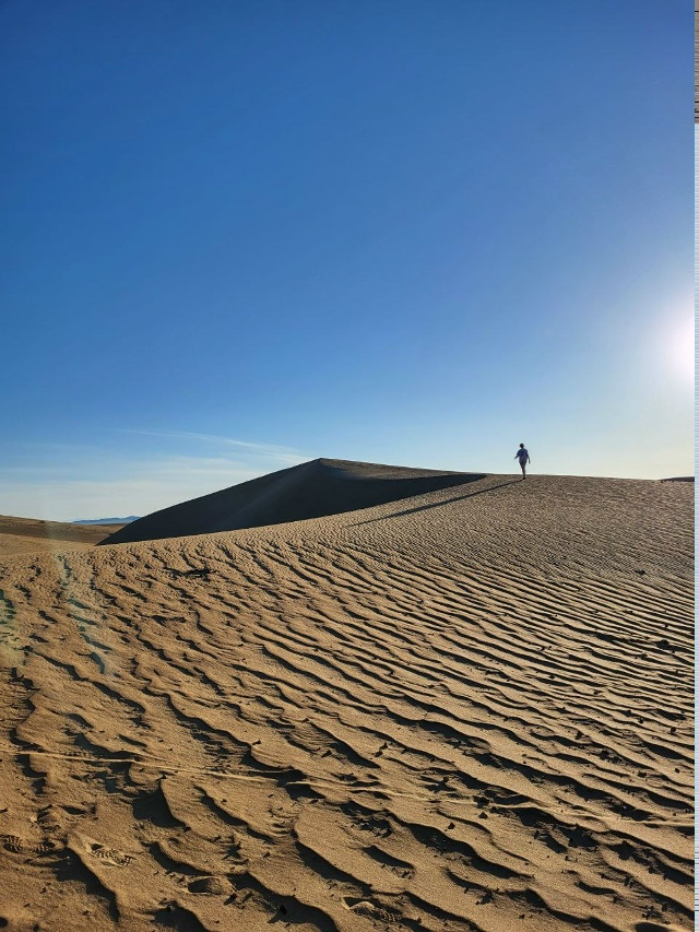 От Алтайских вершин до Байкальских глубин