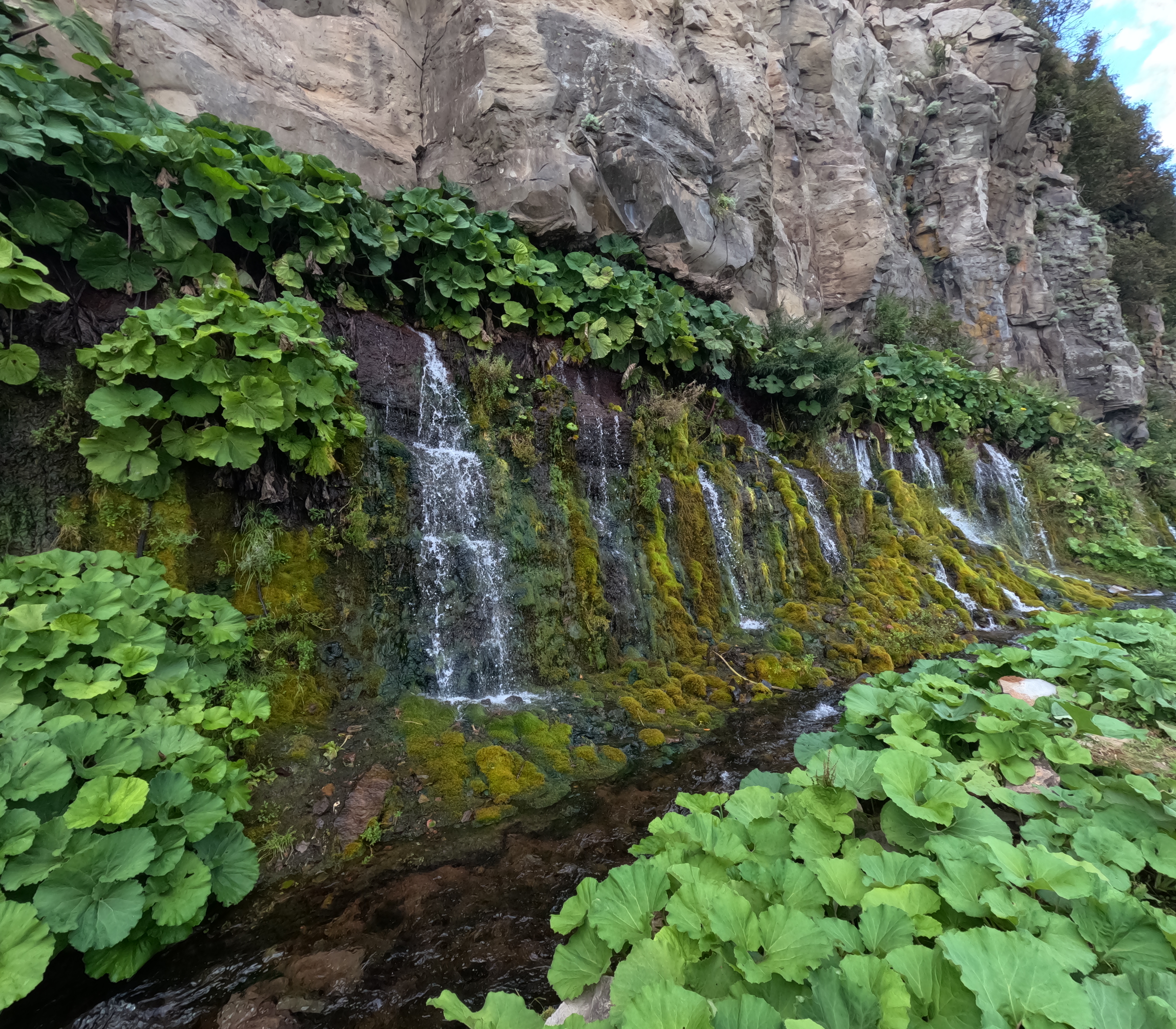 Большое курильское приключение: Итуруп-Кунашир-Шикотан