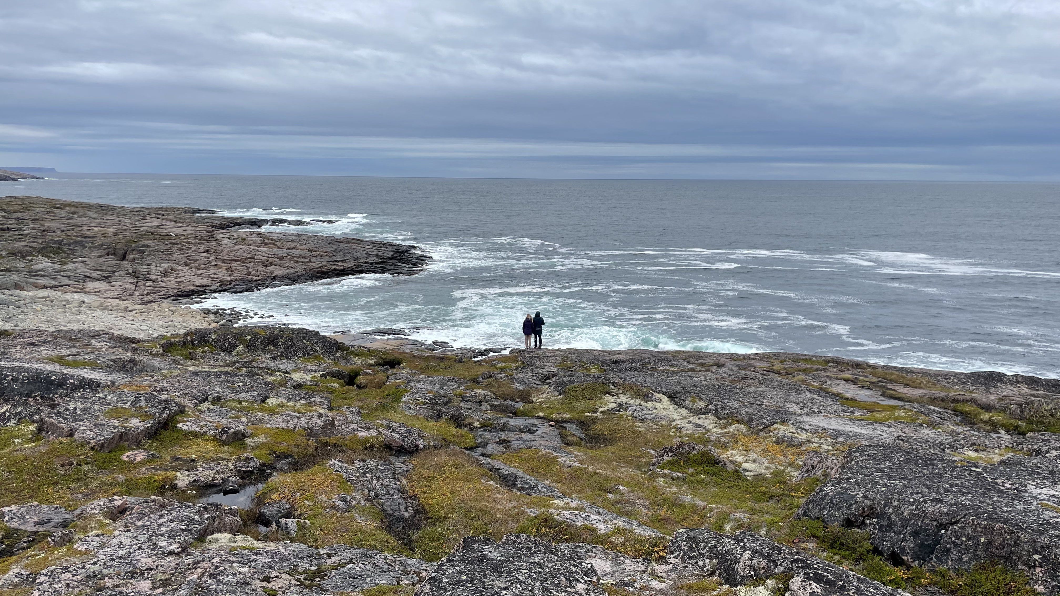 Море по колено - Арктика это круто!