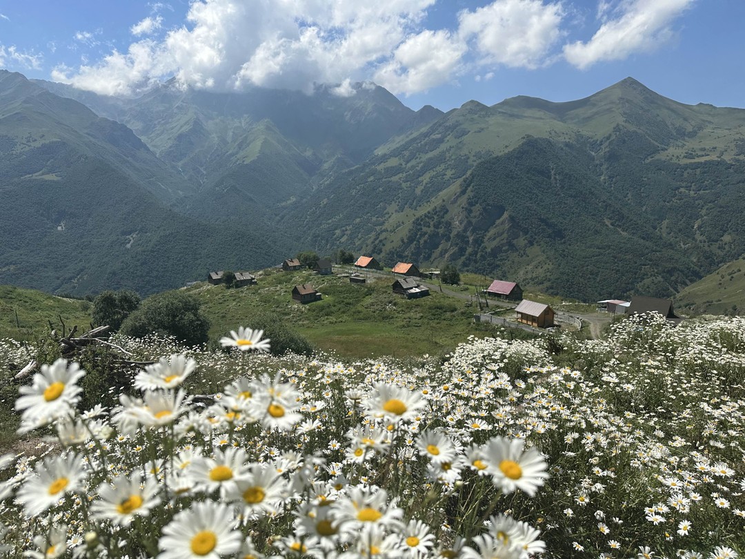 Нетронутая красота горной Дигории