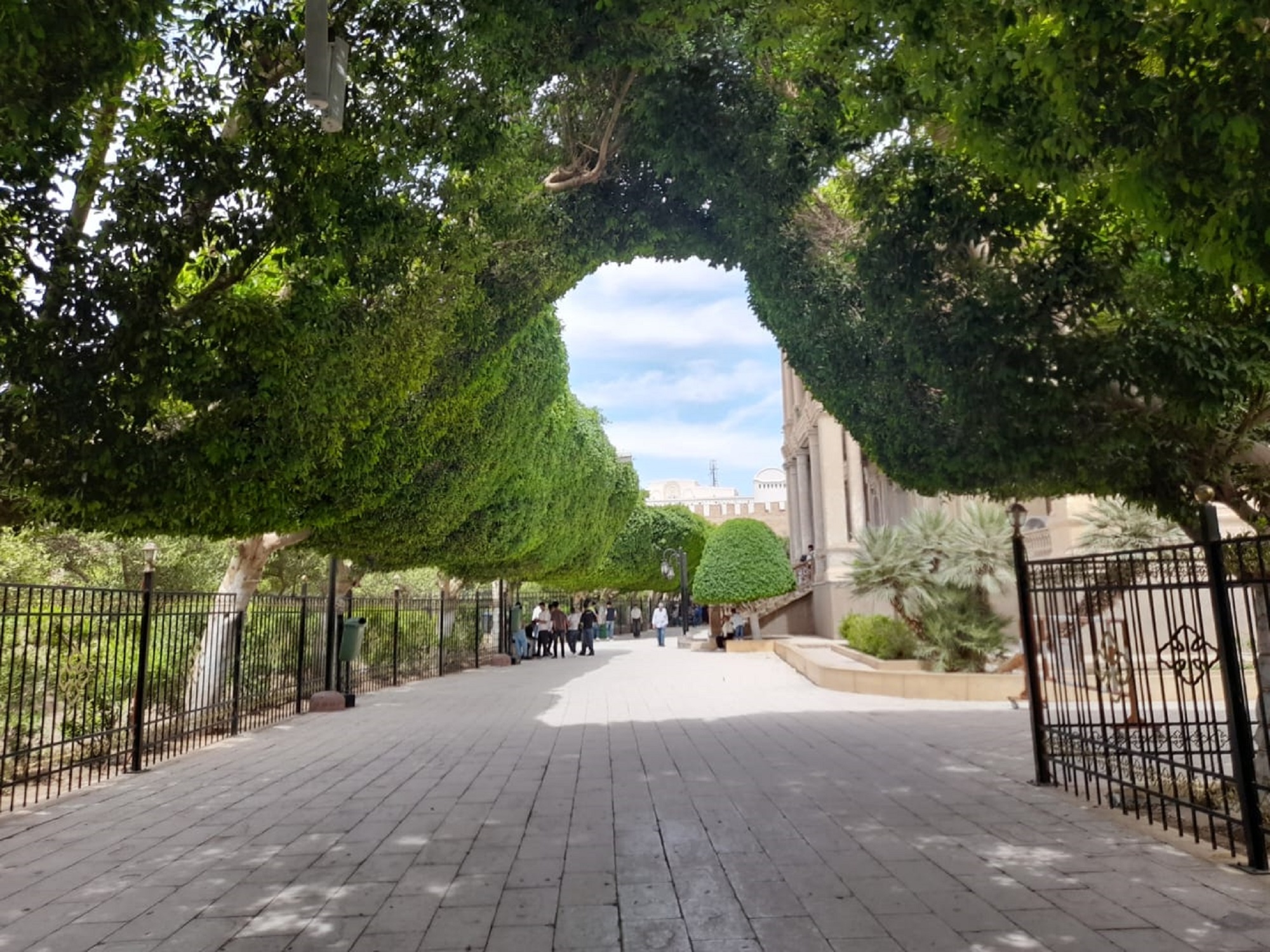 Асьют:Тайны Верхнего Египта: Мейр и Аль-Мухаррак