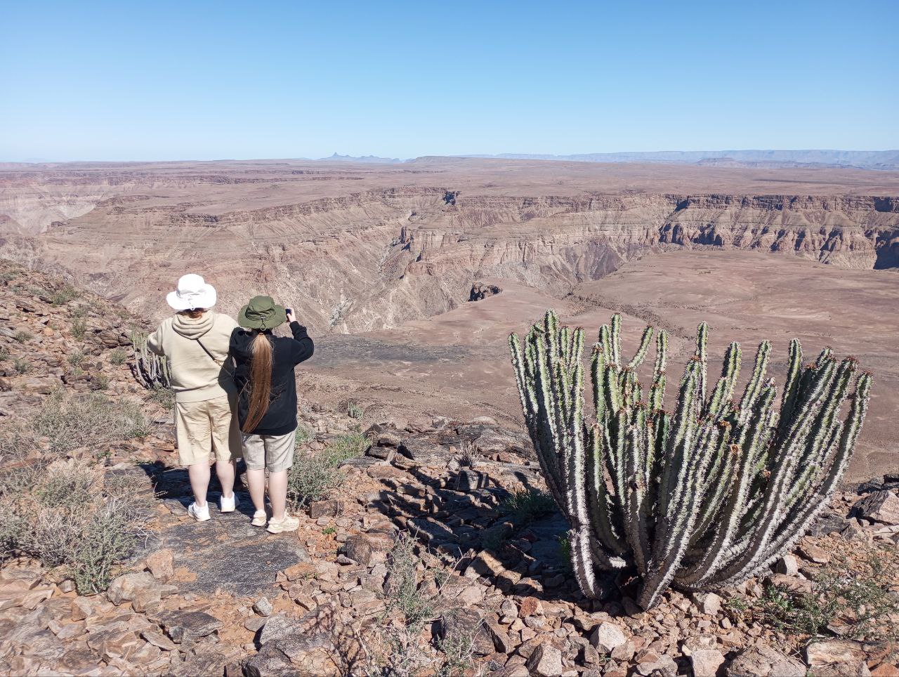 Джип-сафари: встреча с дикой природой Намибии