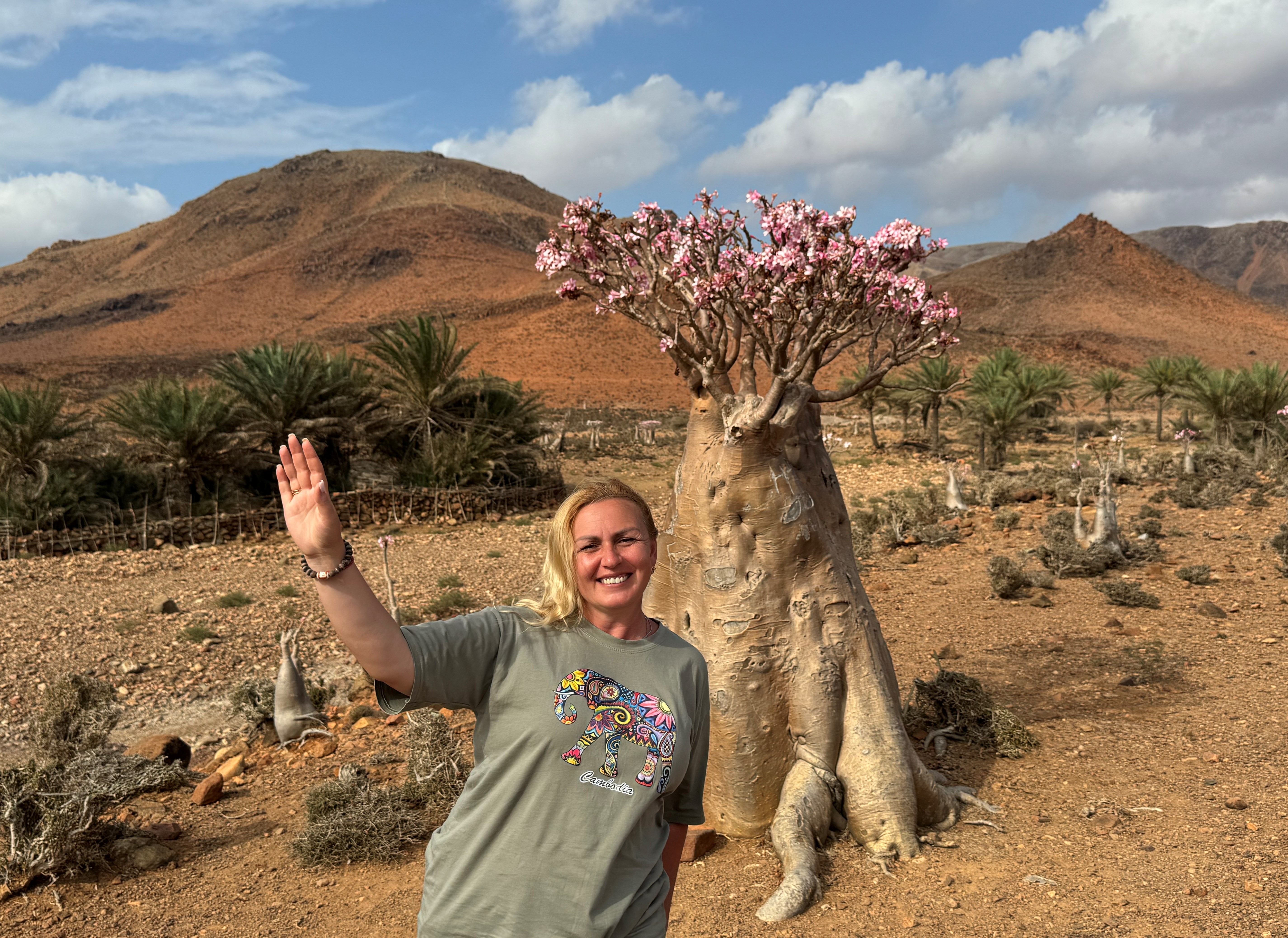 Сокотра: остров ветра, звёзд и драконовых деревьев.