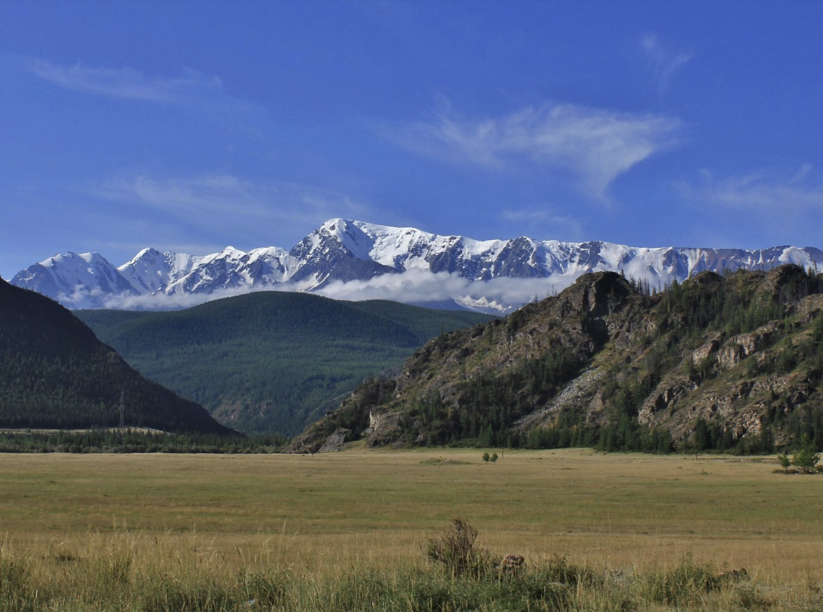 К снежным вершинам