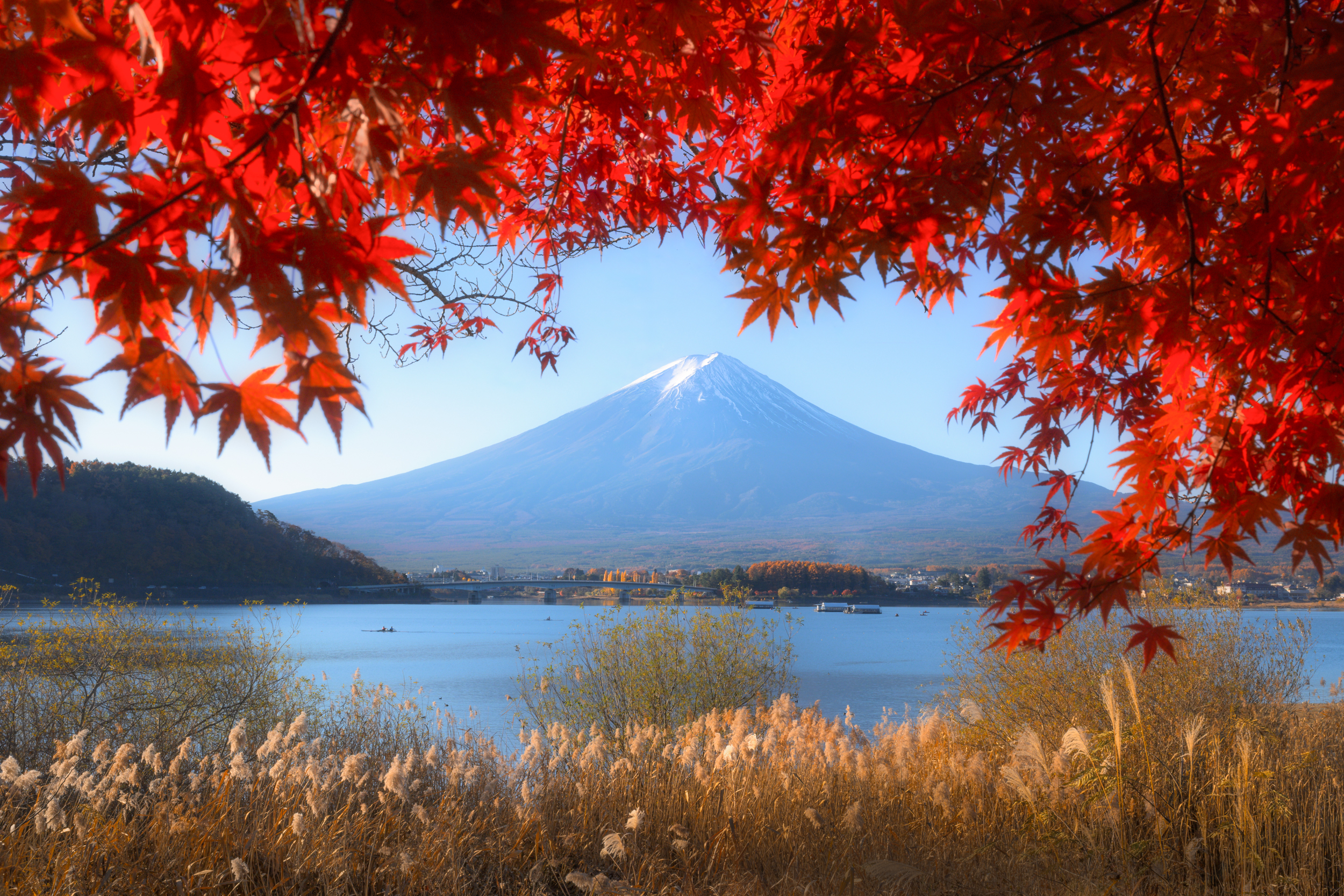 Красные клены в стране самураев