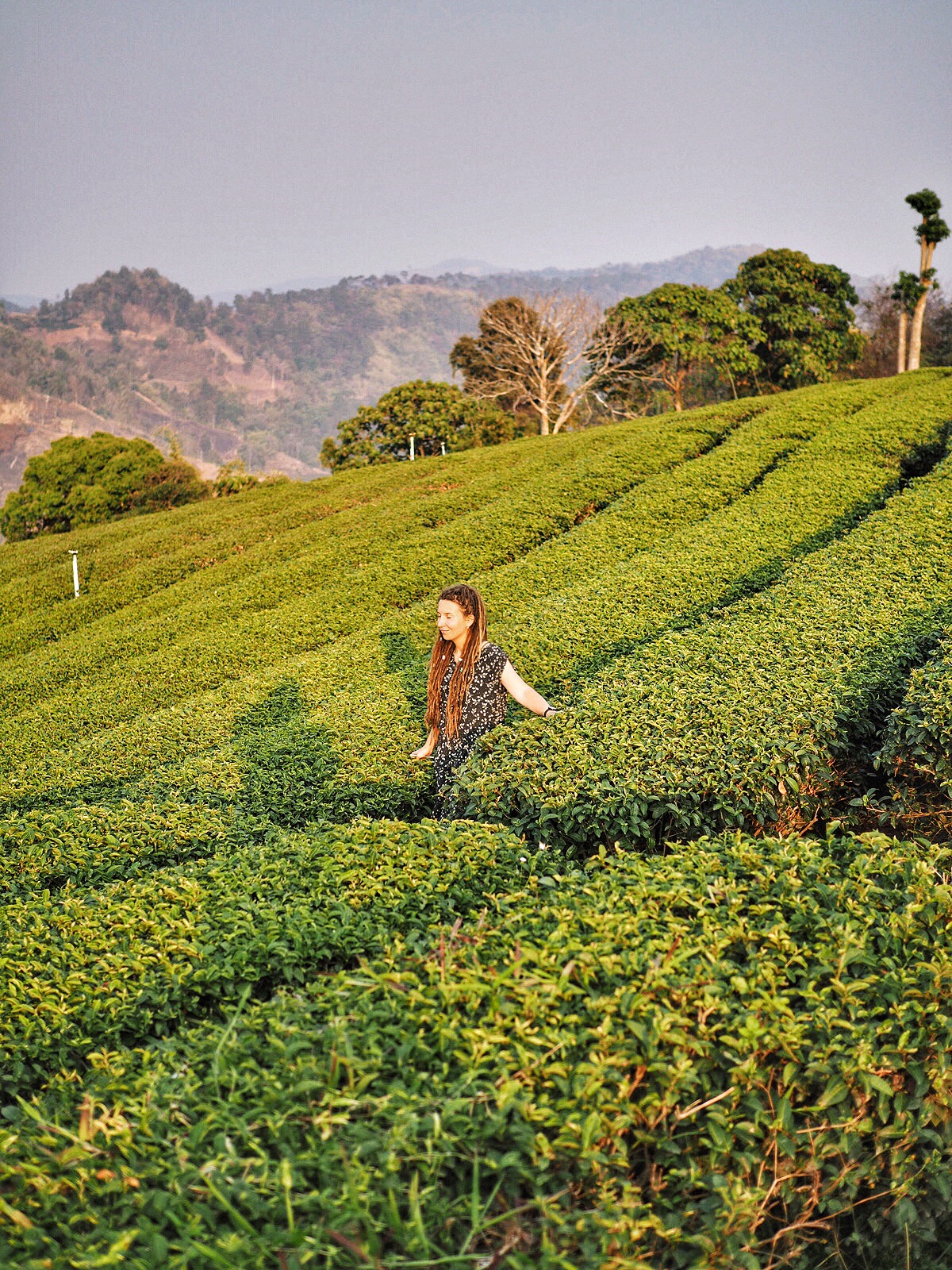 Декорации — Таиланд. Не путешествие. Смена состояния. (34/37)