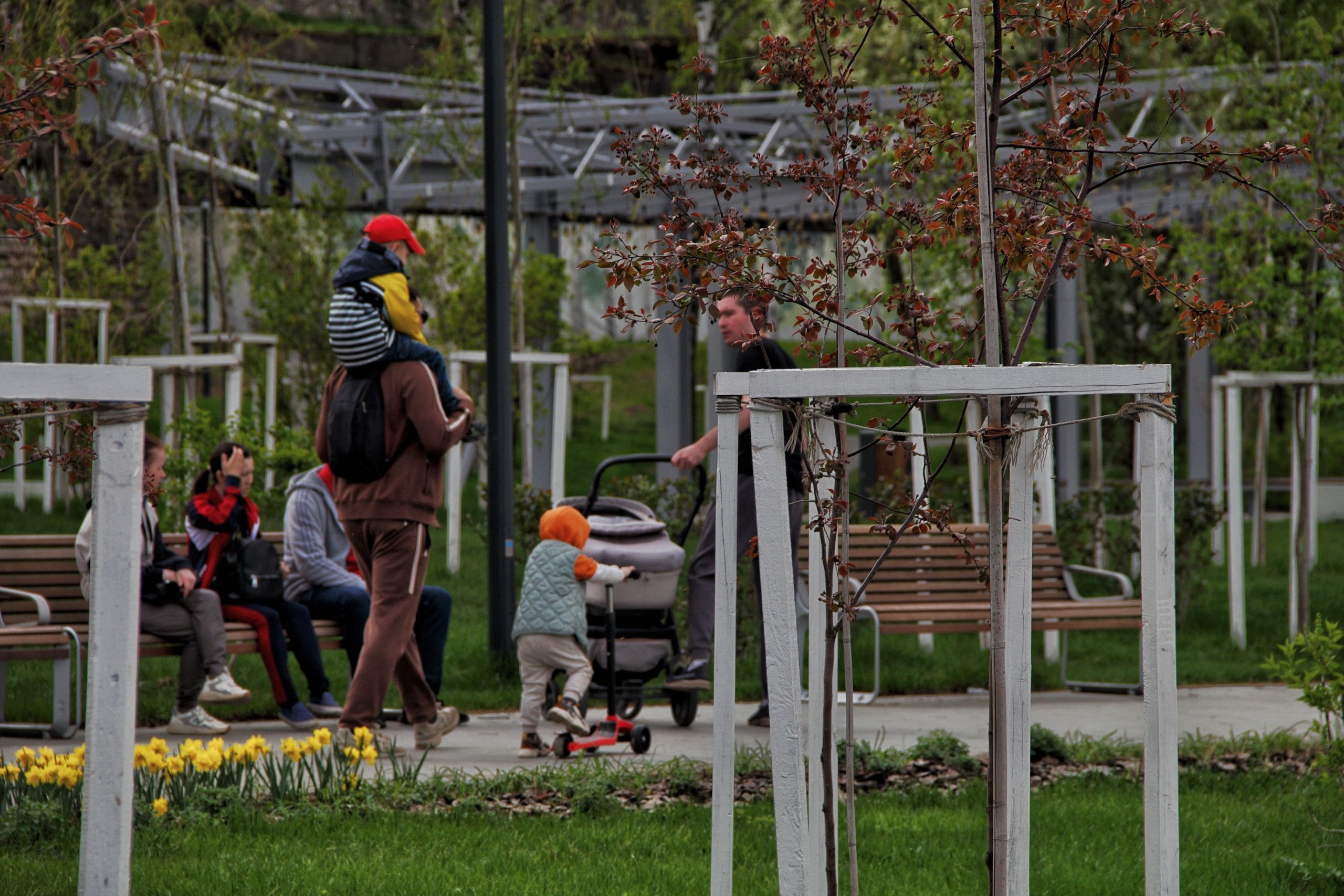 Фотопрогулка по Перми (36/44)