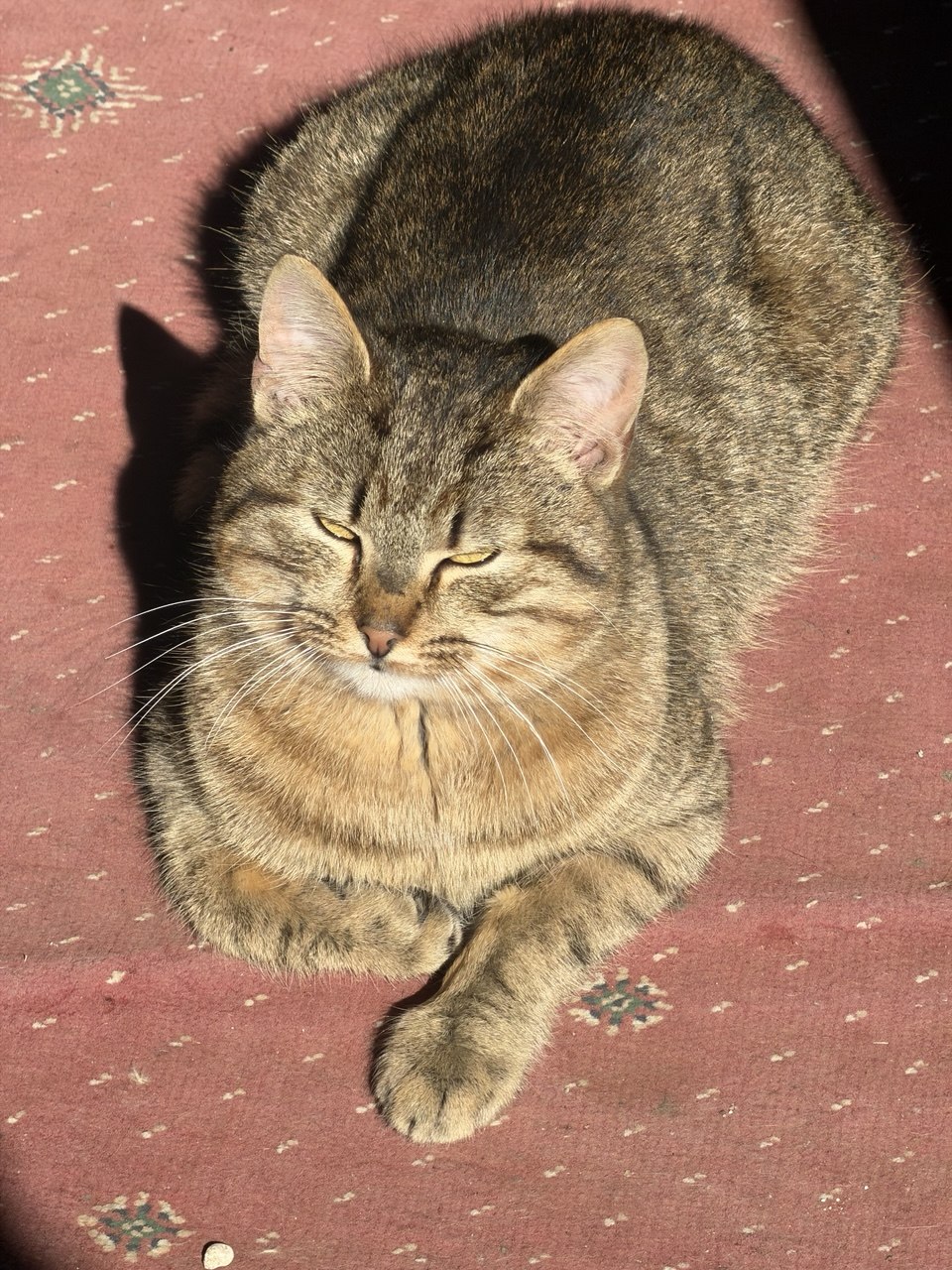 Калининград и область. Тур на 3 дня (52/61)