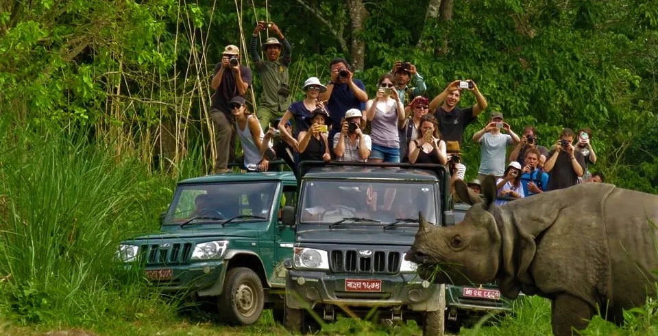 Wildlife Escape (6/7)