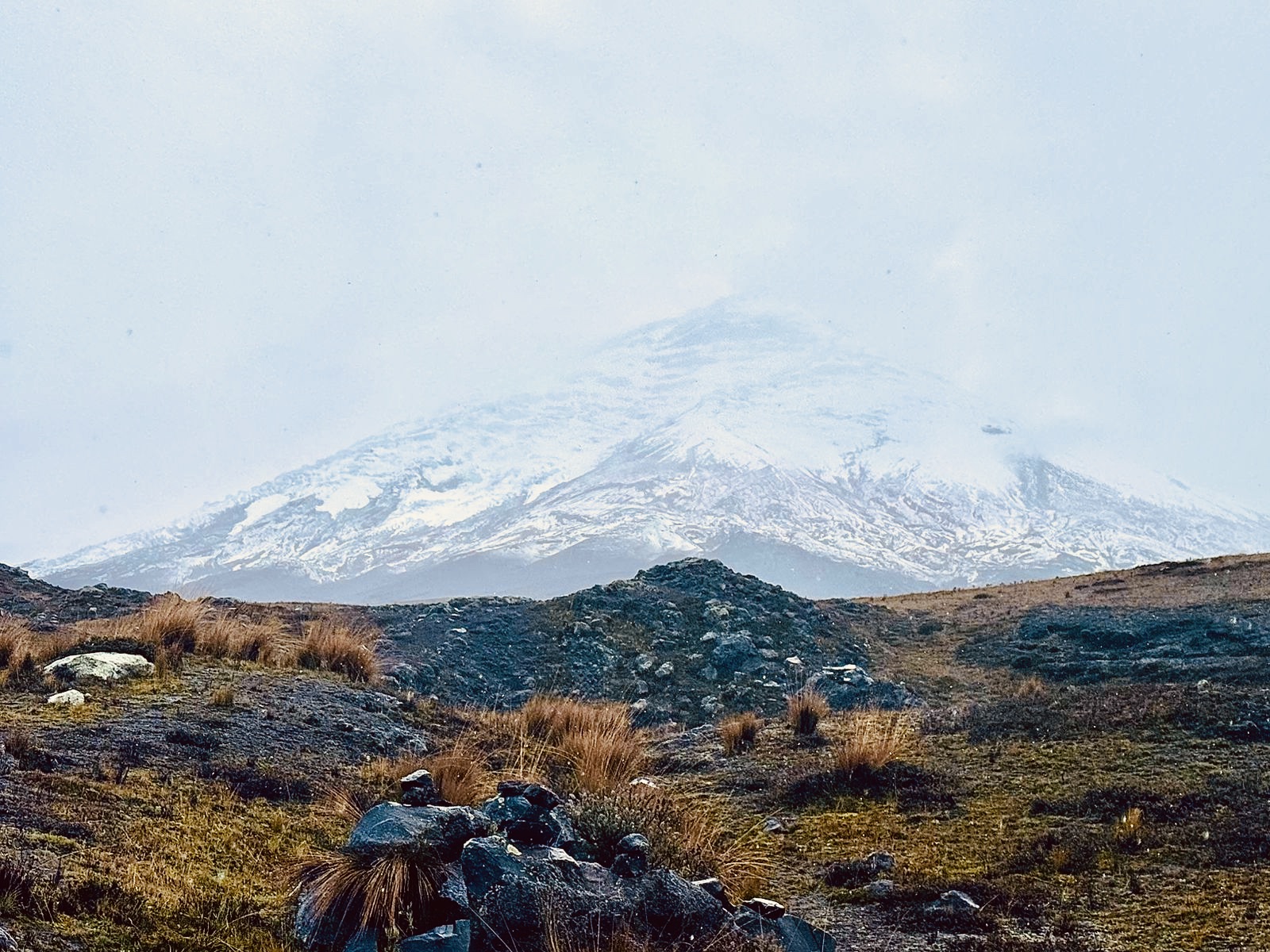 Новый год 2027 на Экваторе Анды+Амазония+Галапагосы (14/30)
