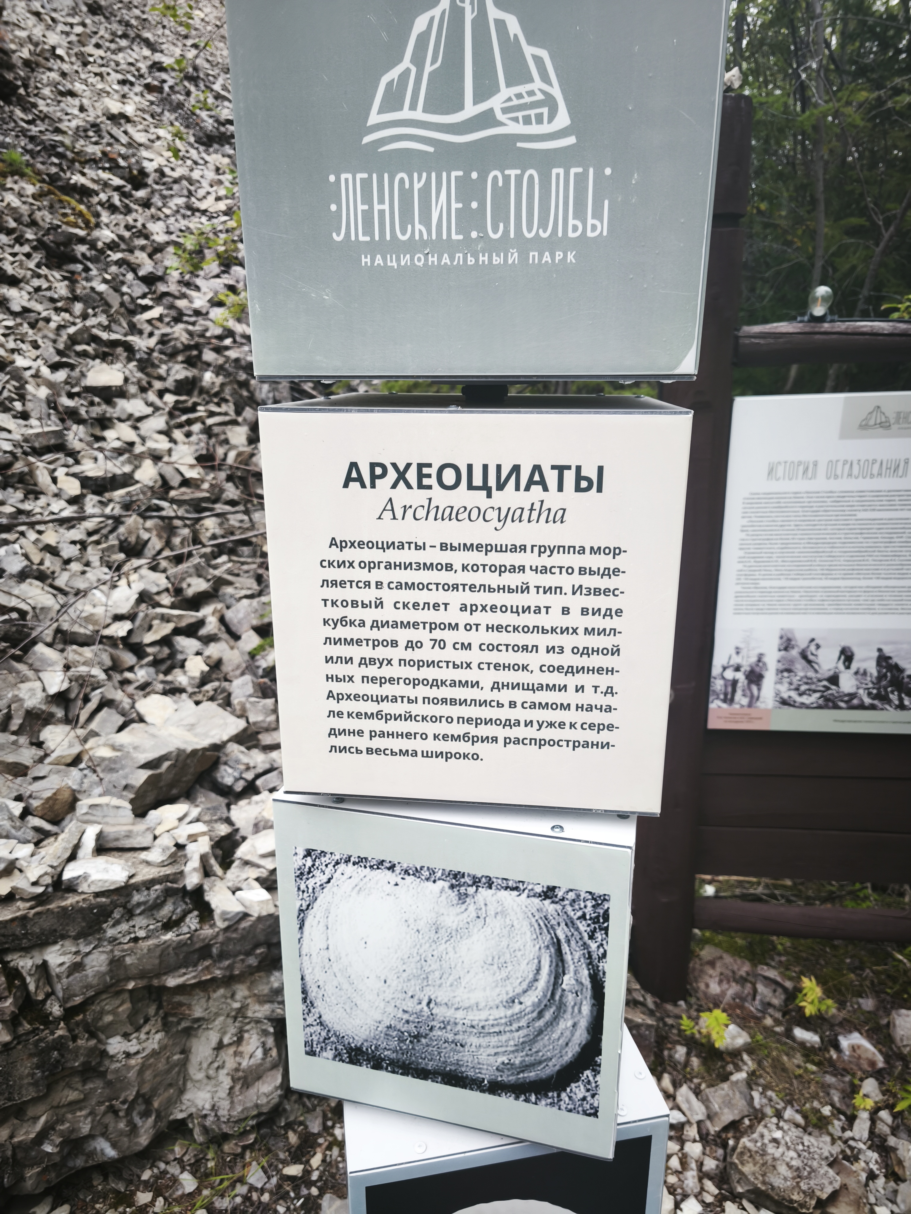 Ленские столбы национальный парк 1 день (11/12)