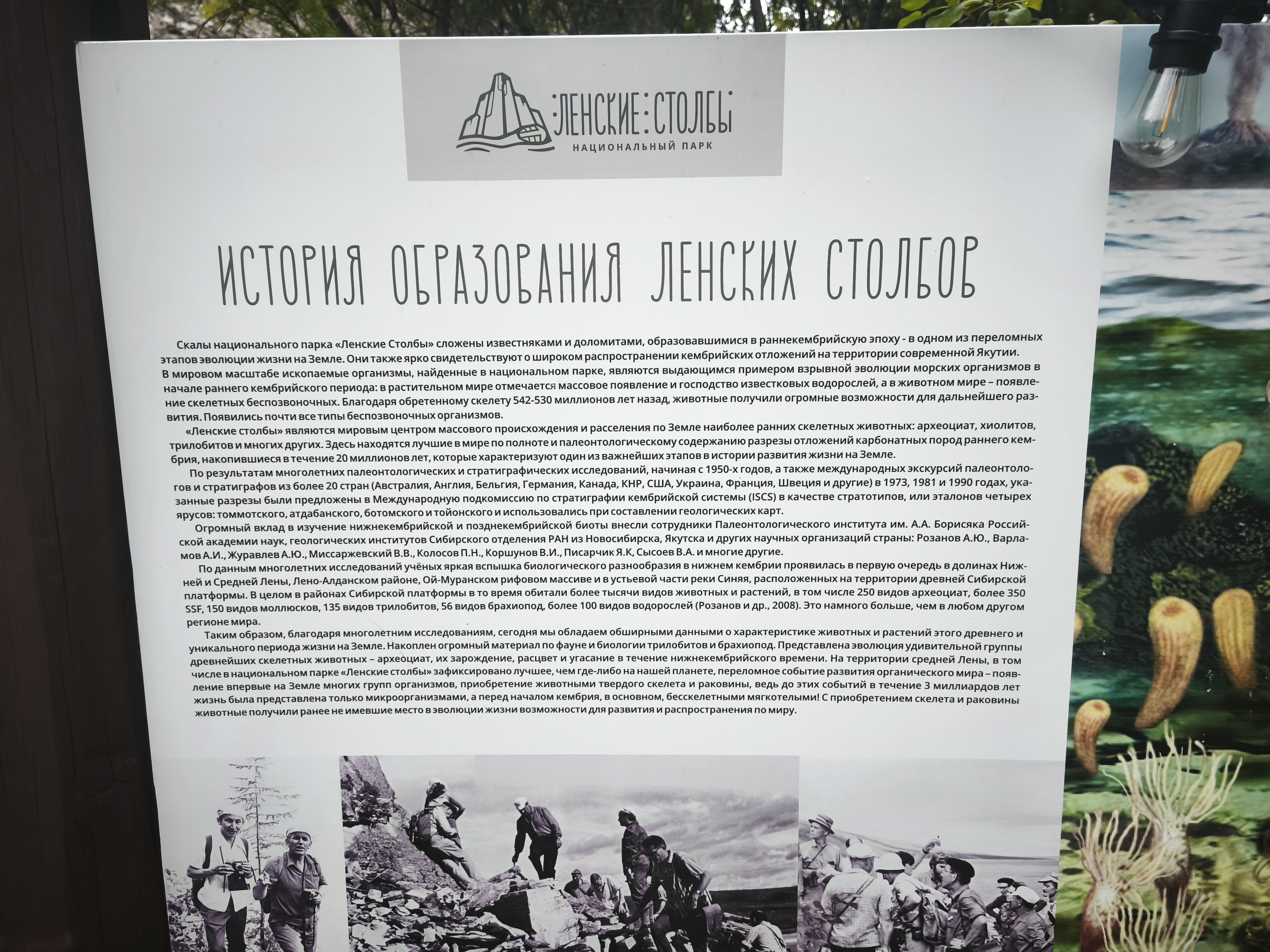 Ленские столбы национальный парк 1 день (12/12)