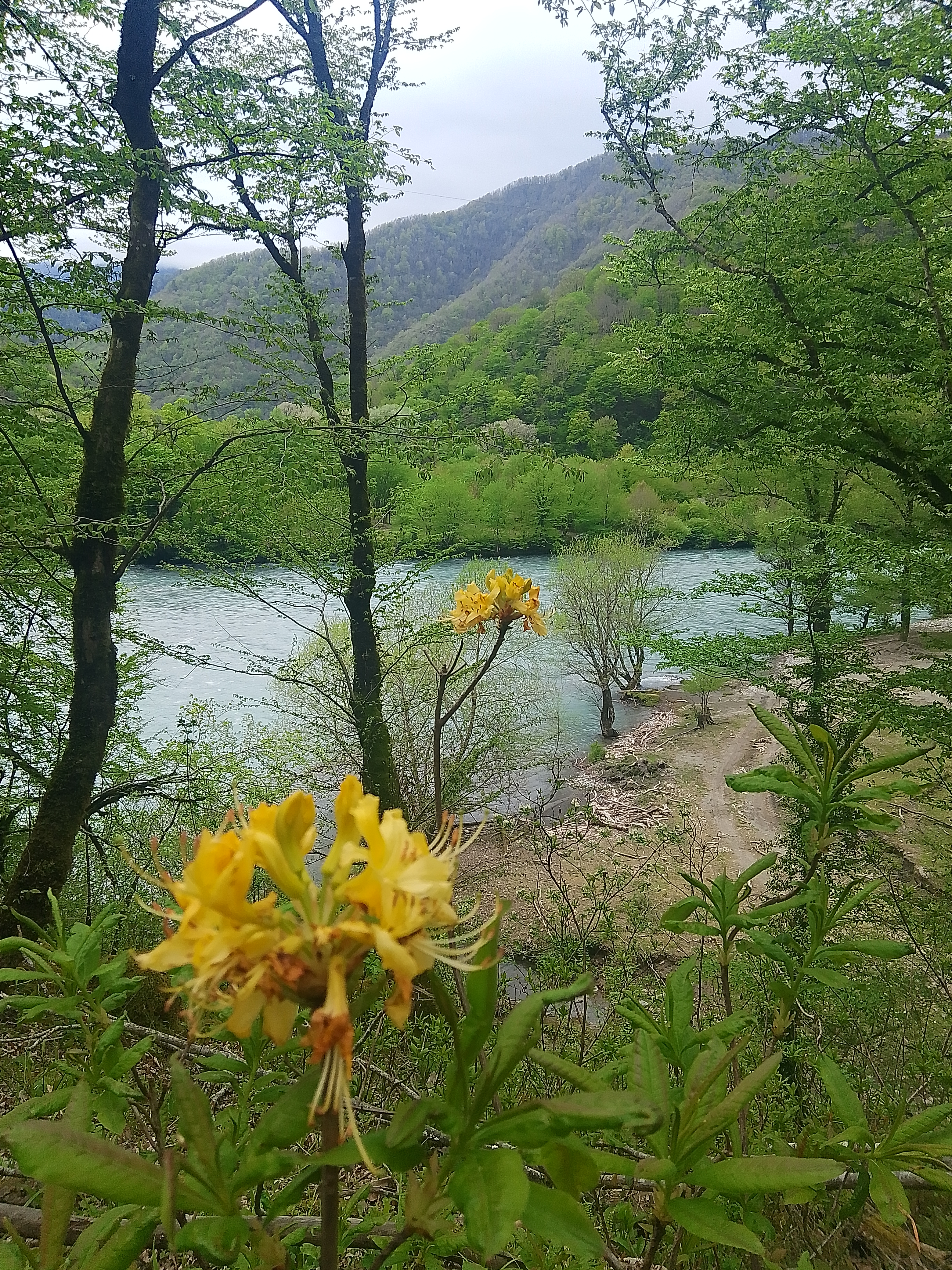 Загадочный Каньон: Прогулка к водопаду, стеклянный мост + древняя крепость (12/16)