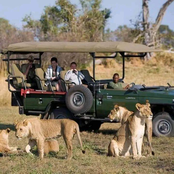 Explore Kenyas Wild Side: 5-Day Private Safari to Amboseli, Nakuru & Masai Mara (15/15)