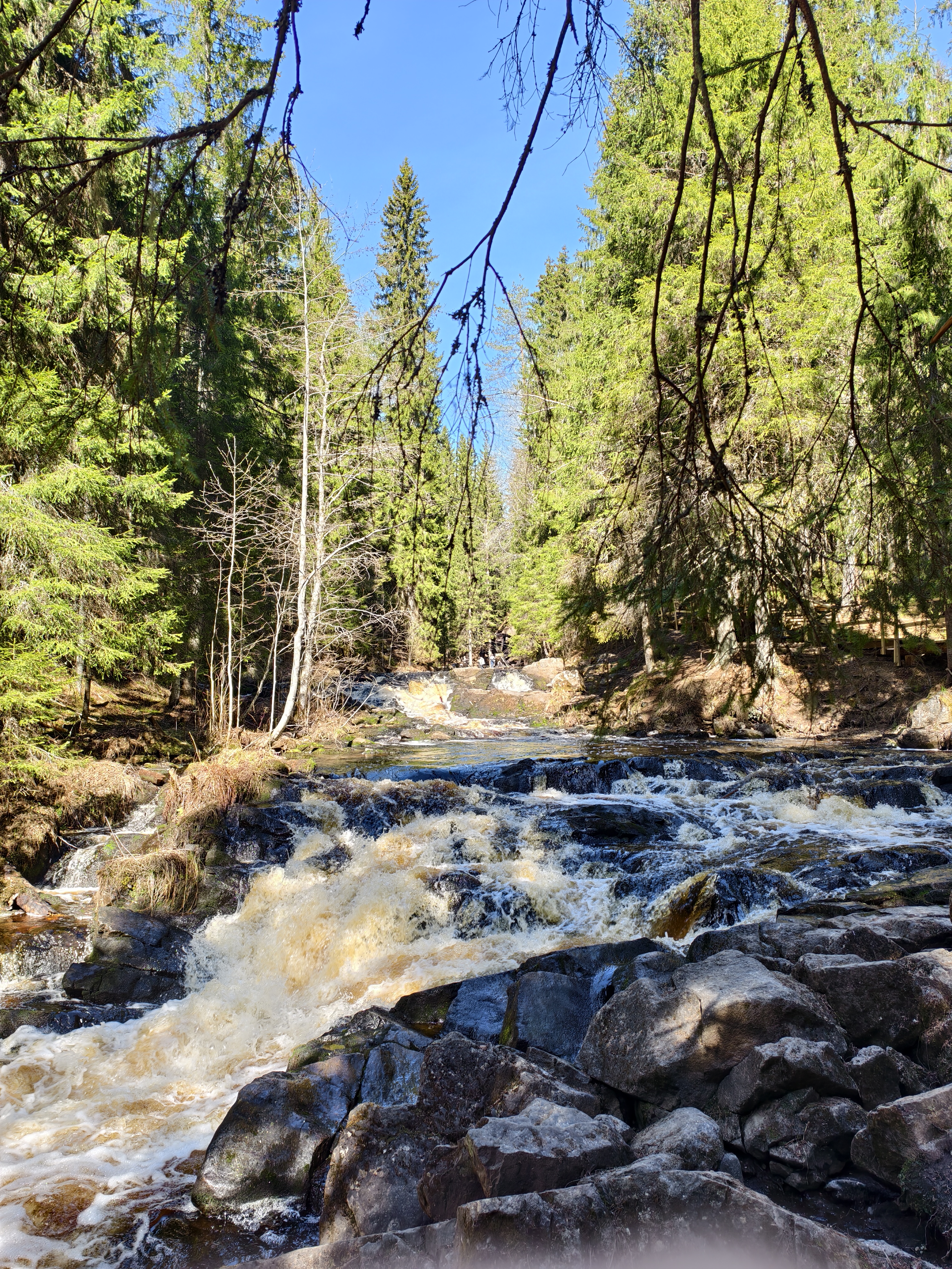 Таинственный остров, лабиринт и водопады