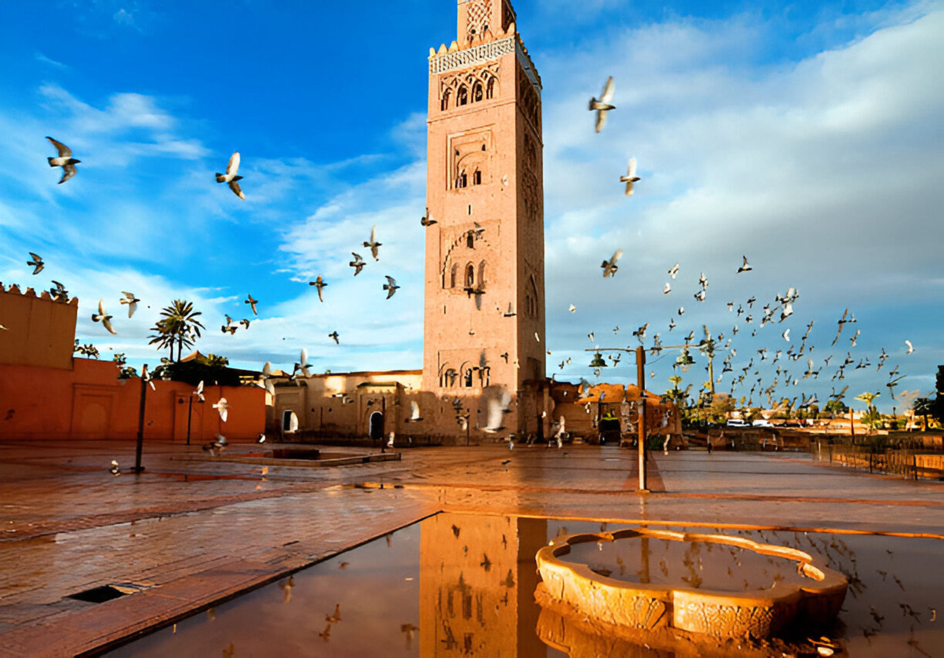 5-Day Morocco Discovery: Casablanca, Chefchaouen, Fes & Sahara Desert to Marrakech (19/19)