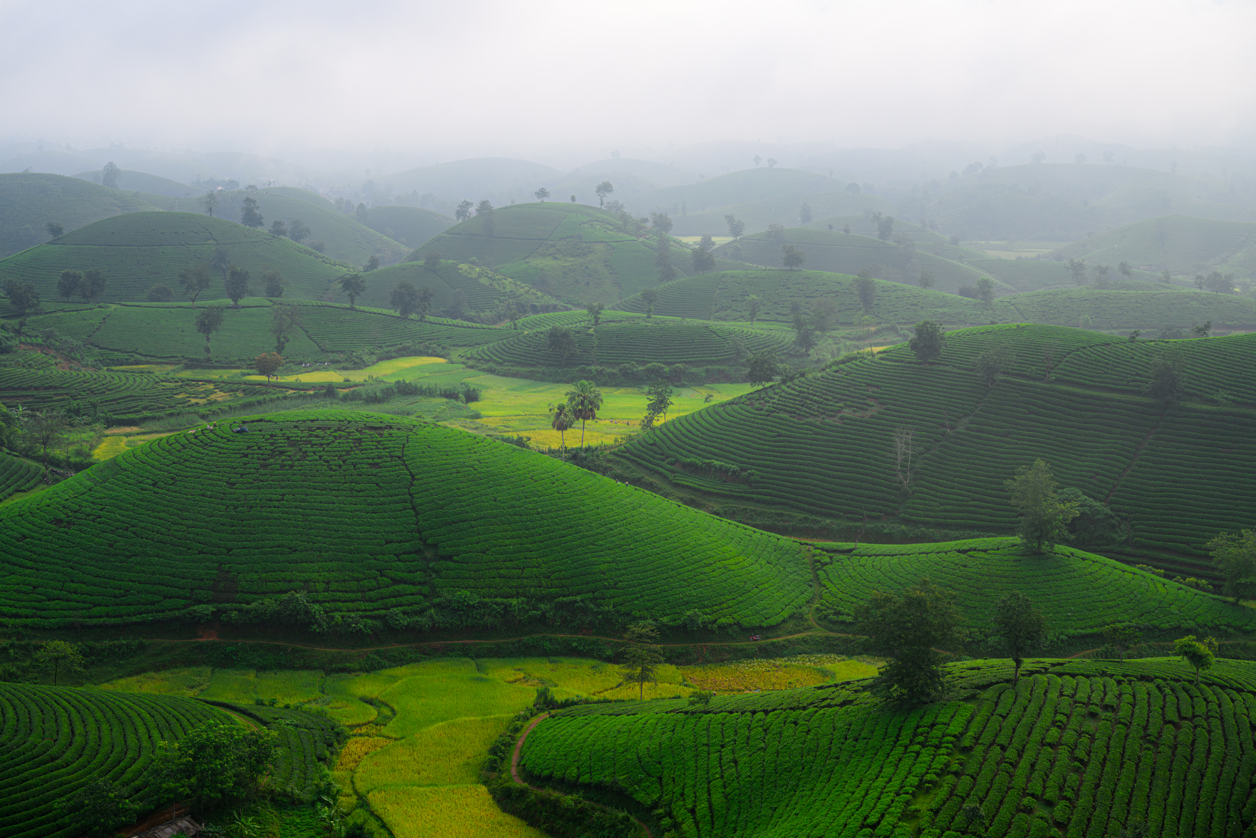 Mu Cang Chai - Лаокай - Ханой