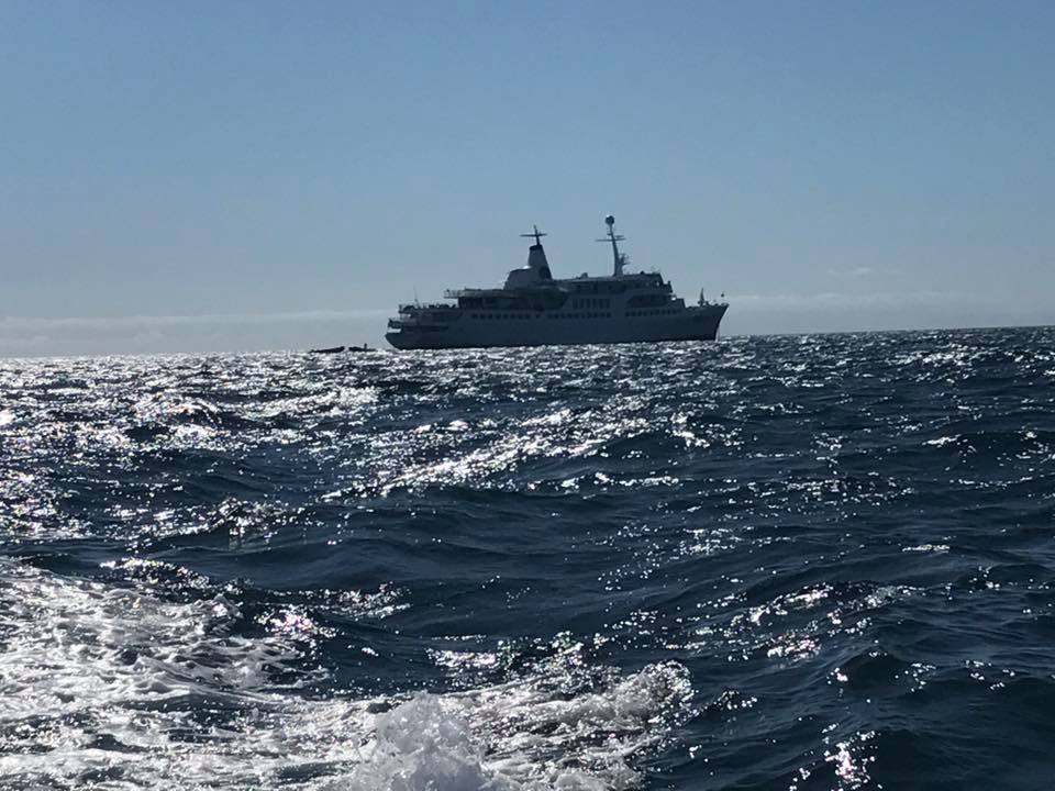 Эквадор с круизом по Галапагосским островам 7 дней (29/29)