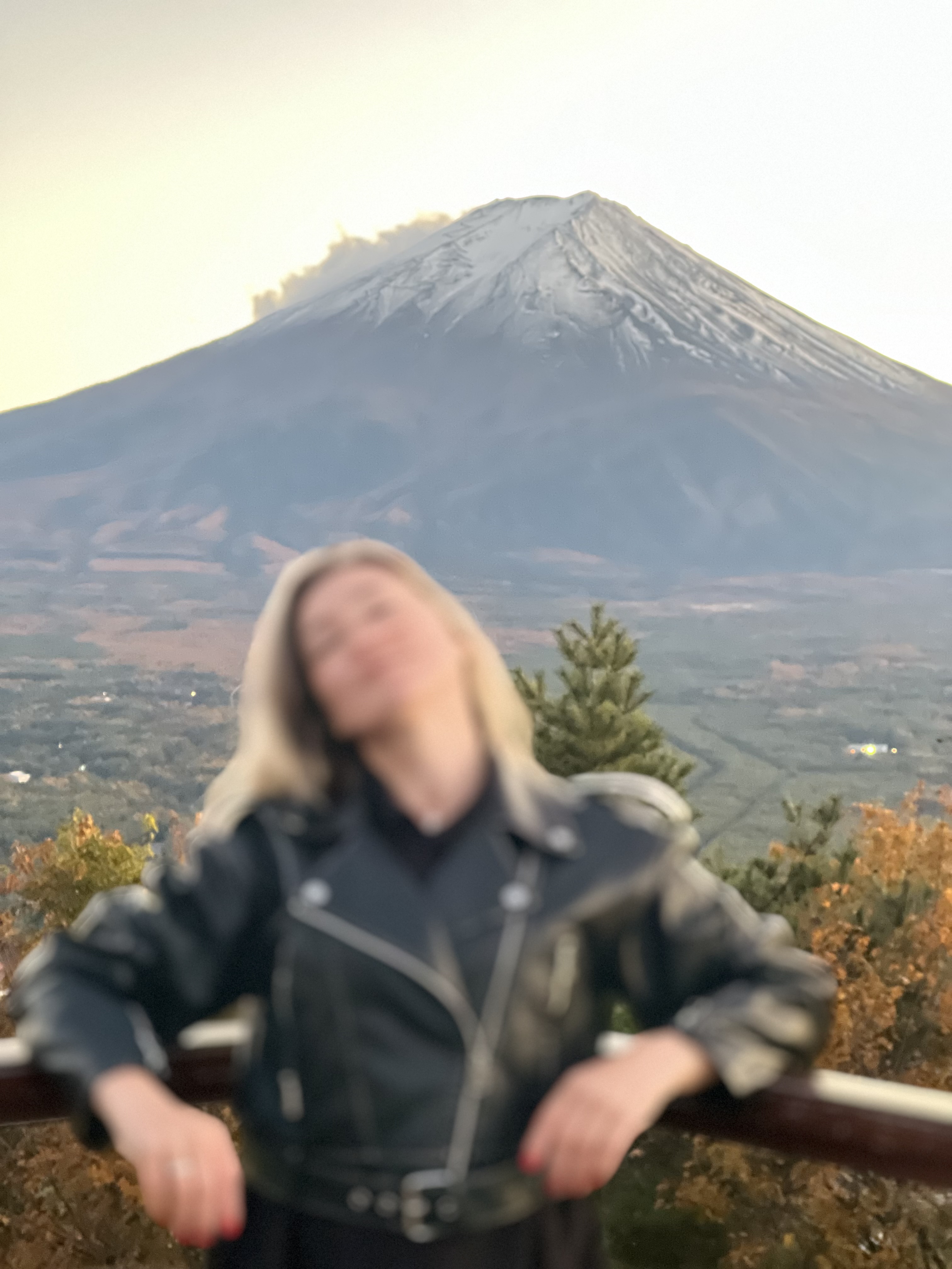 Японская эстетика за 9 дней: 