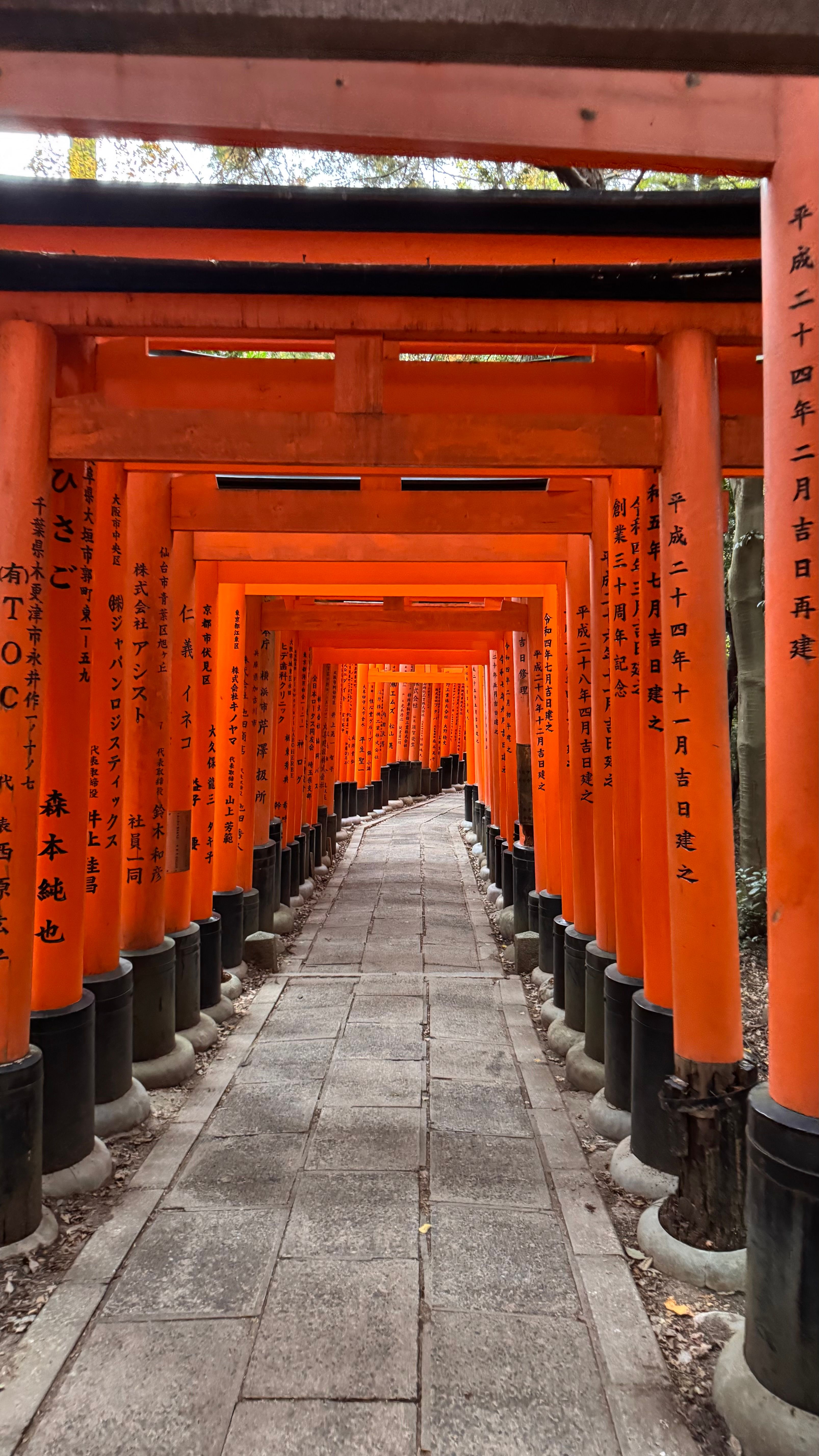 Вся Япония за 8 дней. Сезон красных клёнов и гастрономические открытия (20/26)