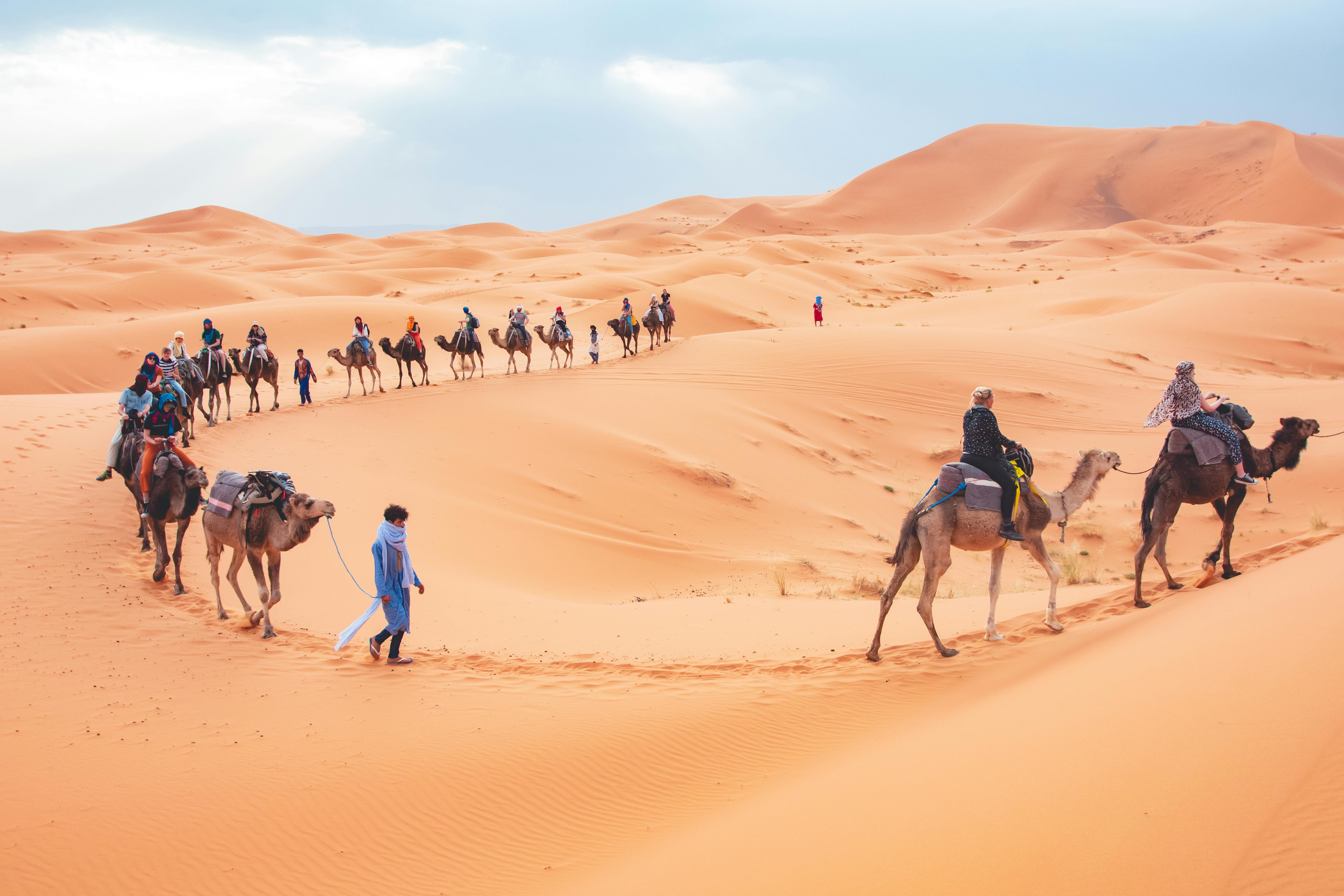7-Day Imperial Cities & Sahara Desert from Casablanca (26/34)