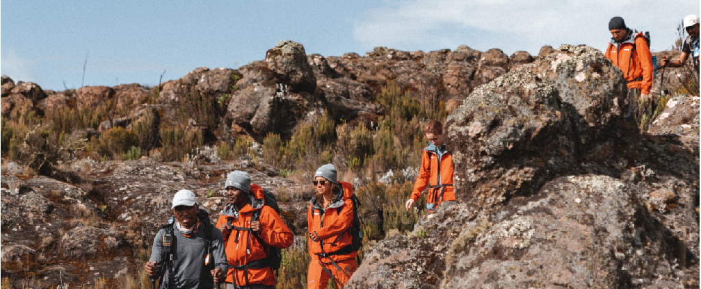 Восхождение на Килиманджаро и сафари (58/69)