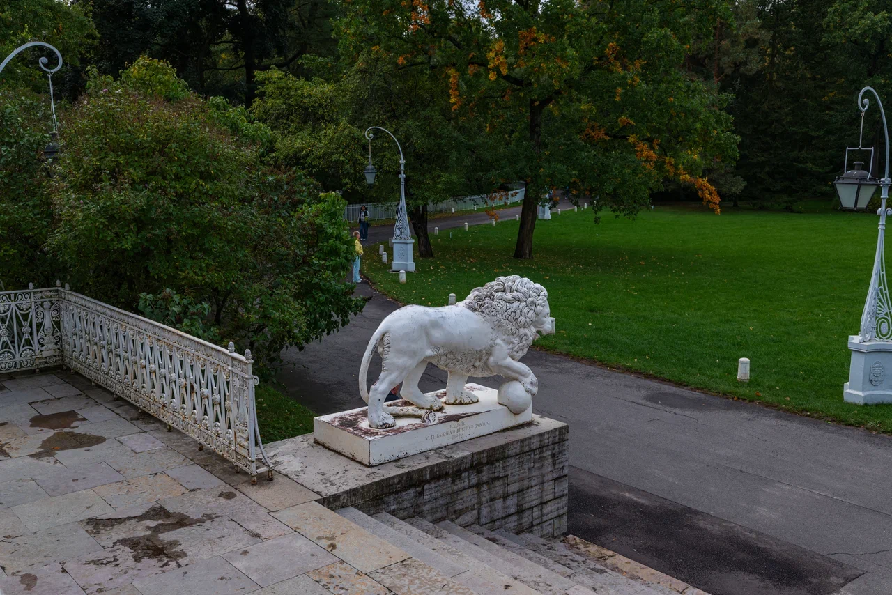 День Святого Мартина и другие приключения итальянцев в Петербурге (8/13)