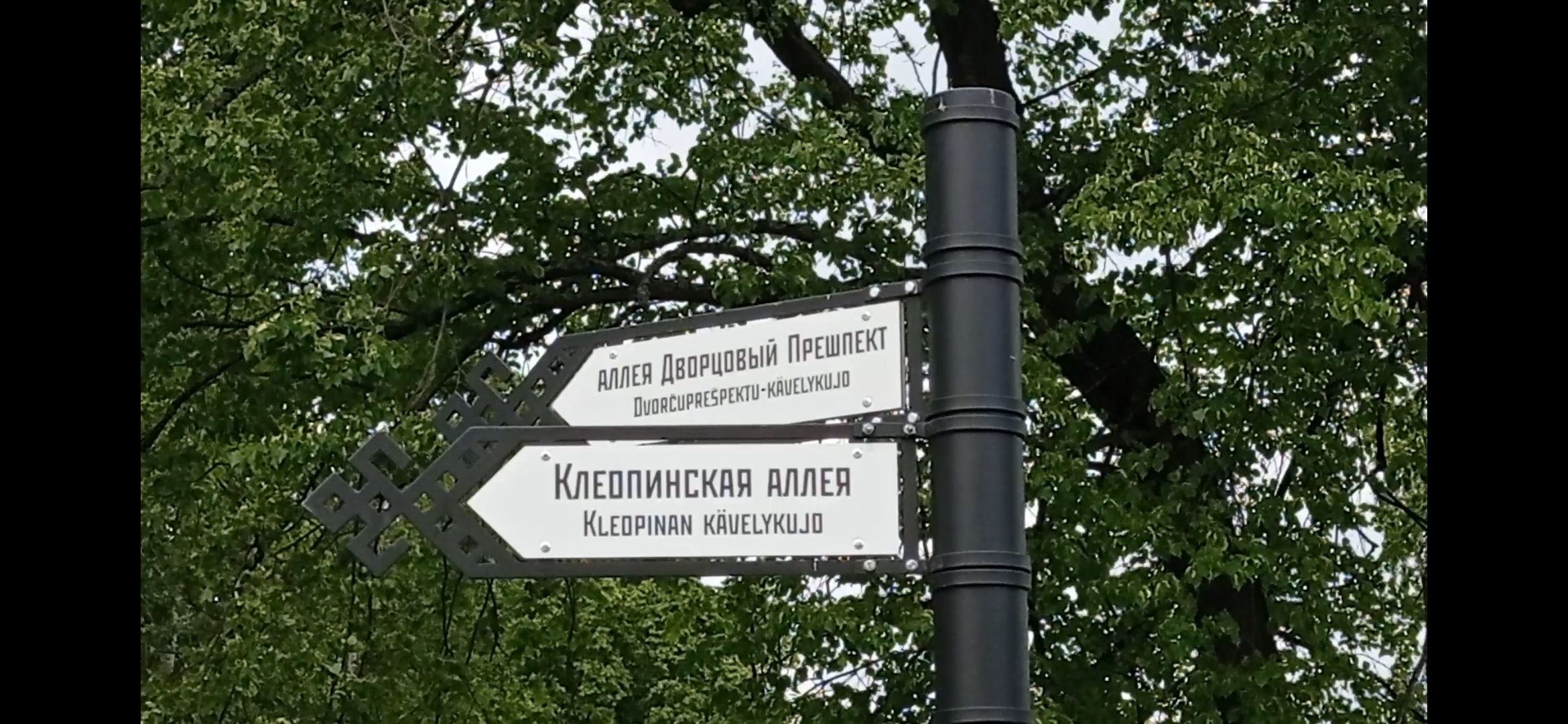 Экскурсия по Петрозаводску (ЦЕНА УКАЗАНА ЗА ВСЮ ЭКСКУРСИЮ, А НЕ ЗА ОДНОГО УЧАСТНИКА!) (12/17)