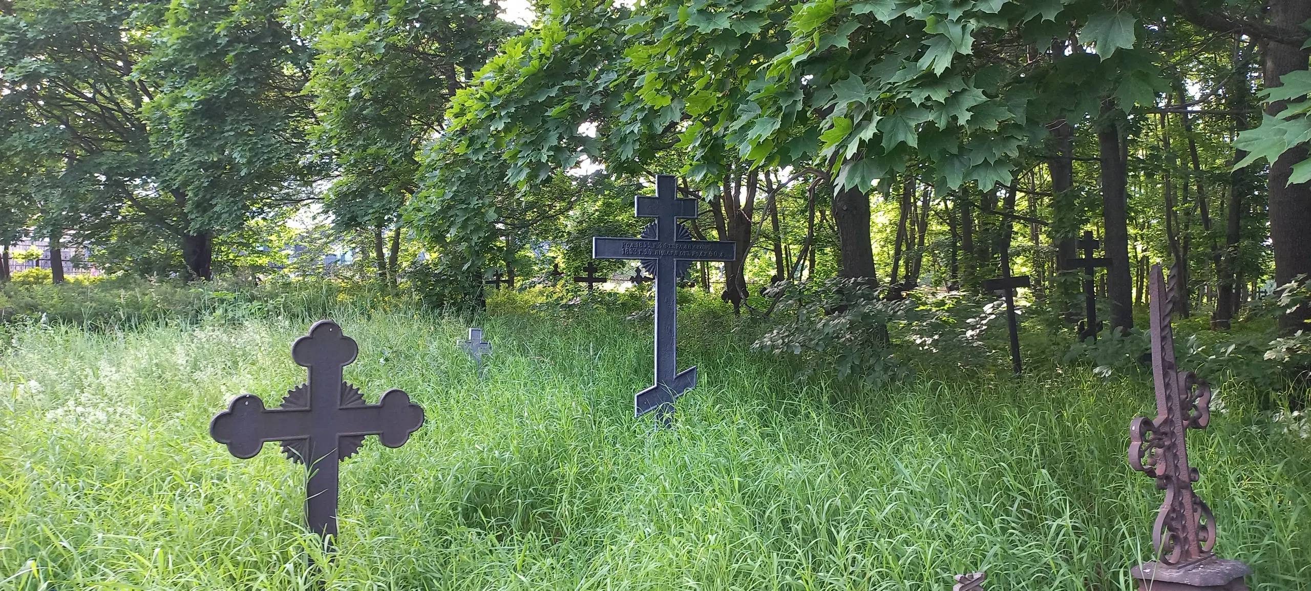 Экскурсия по Петрозаводску (ЦЕНА УКАЗАНА ЗА ВСЮ ЭКСКУРСИЮ, А НЕ ЗА ОДНОГО УЧАСТНИКА!) (14/17)