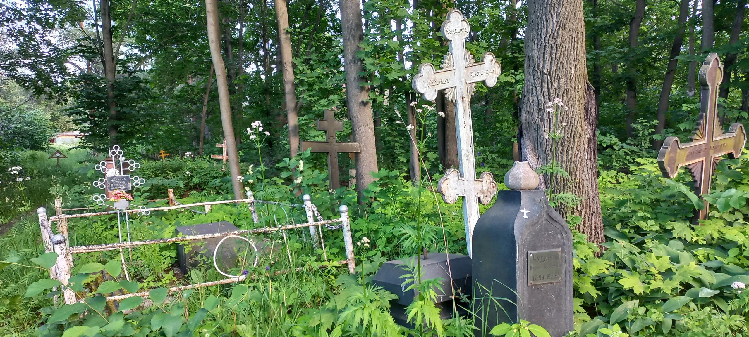 Экскурсия по Петрозаводску (ЦЕНА УКАЗАНА ЗА ВСЮ ЭКСКУРСИЮ, А НЕ ЗА ОДНОГО УЧАСТНИКА!) (17/17)