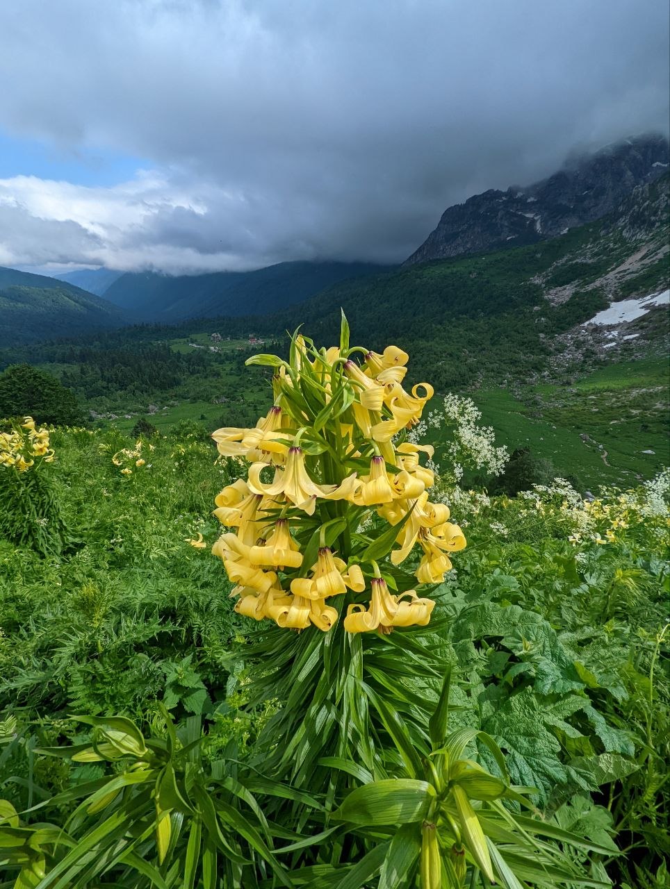 Знаменитая Тридцатка (8/10)