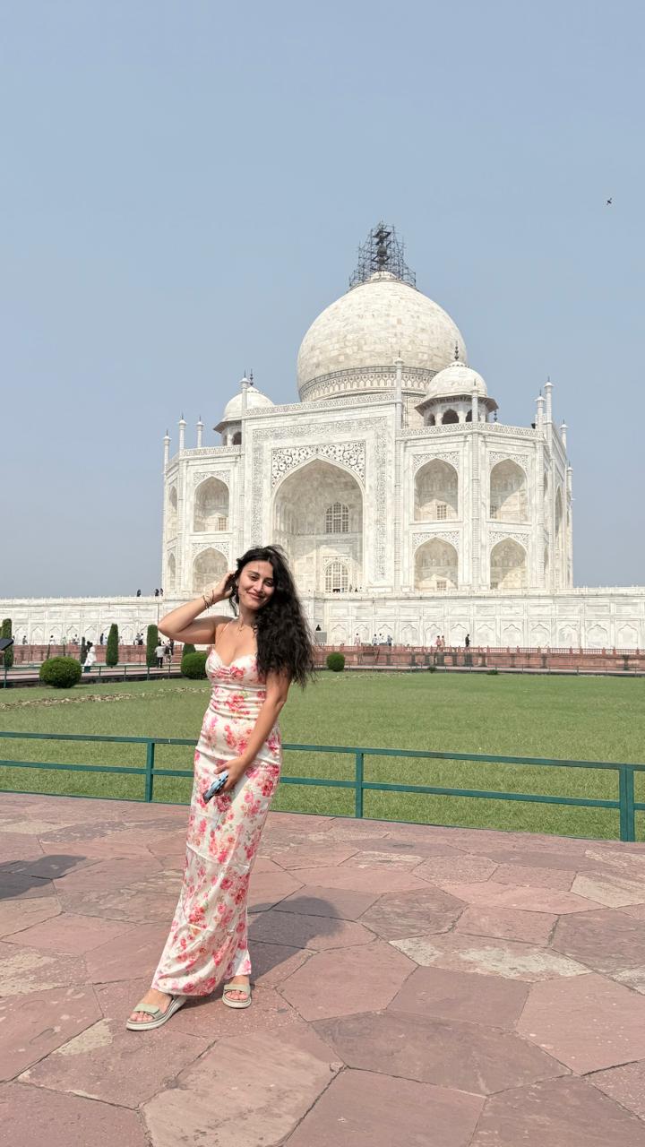 From Delhi: Taj Mahal & Agra Tour by Car (12/26)