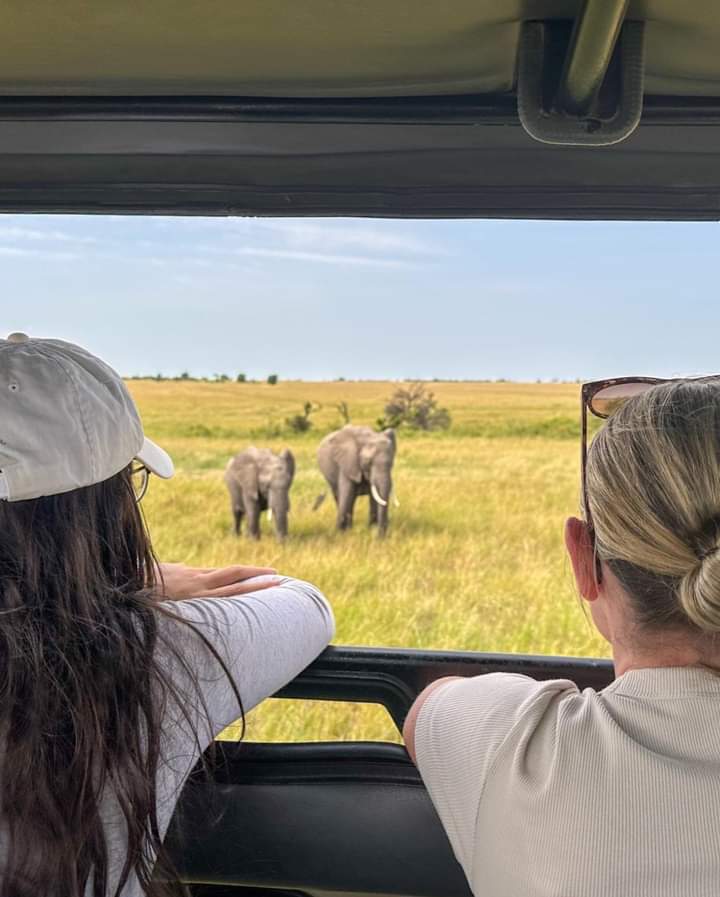5-Day Ultimate Kenya Safari – Maasai Mara, Lake Nakuru & Lake Naivasha (13/15)