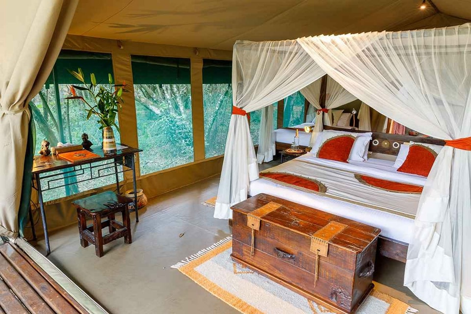5-Day Ultimate Kenya Safari – Maasai Mara, Lake Nakuru & Lake Naivasha (5/15)