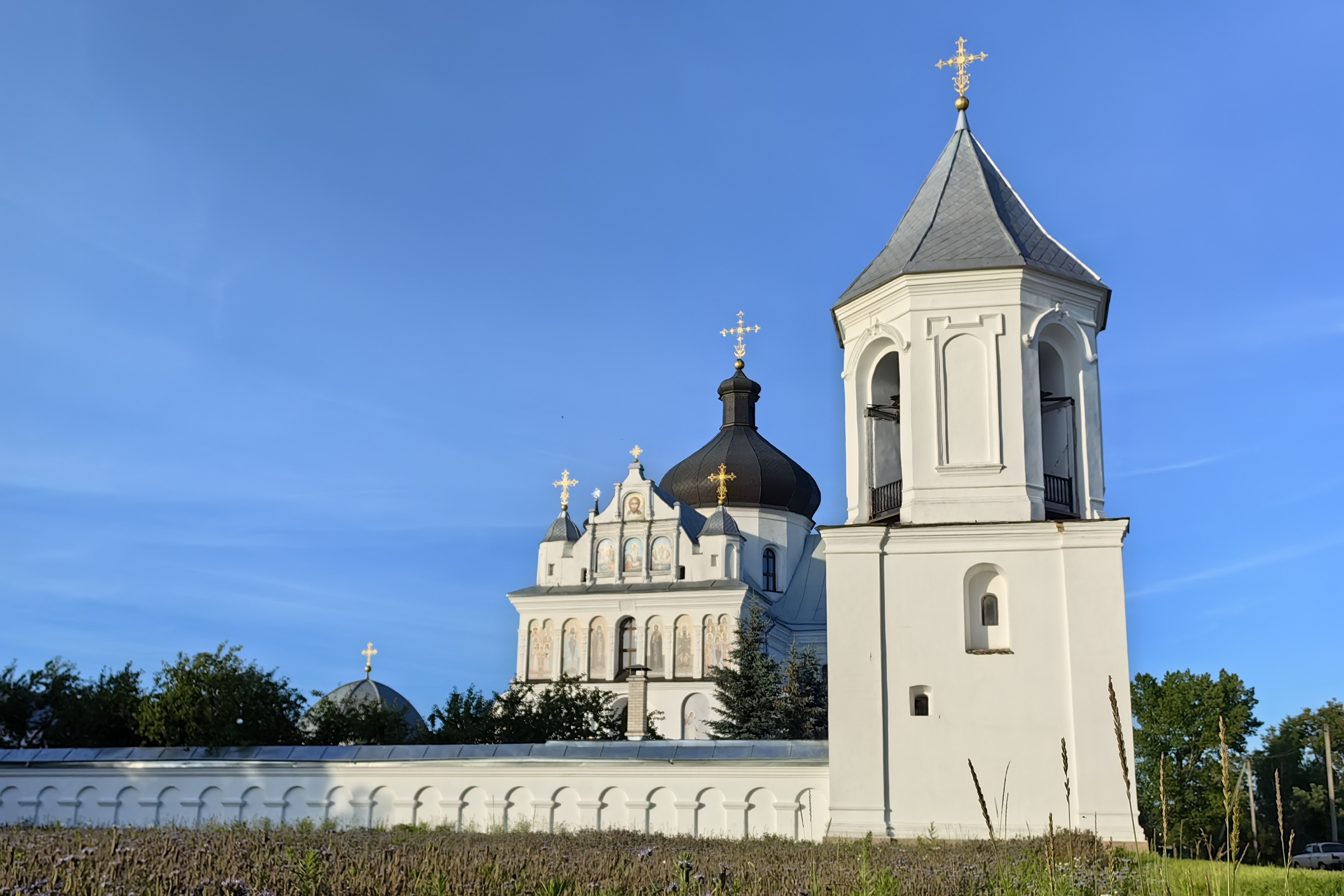 Королевское турне по замкам восточной Белоруссии (10/15)