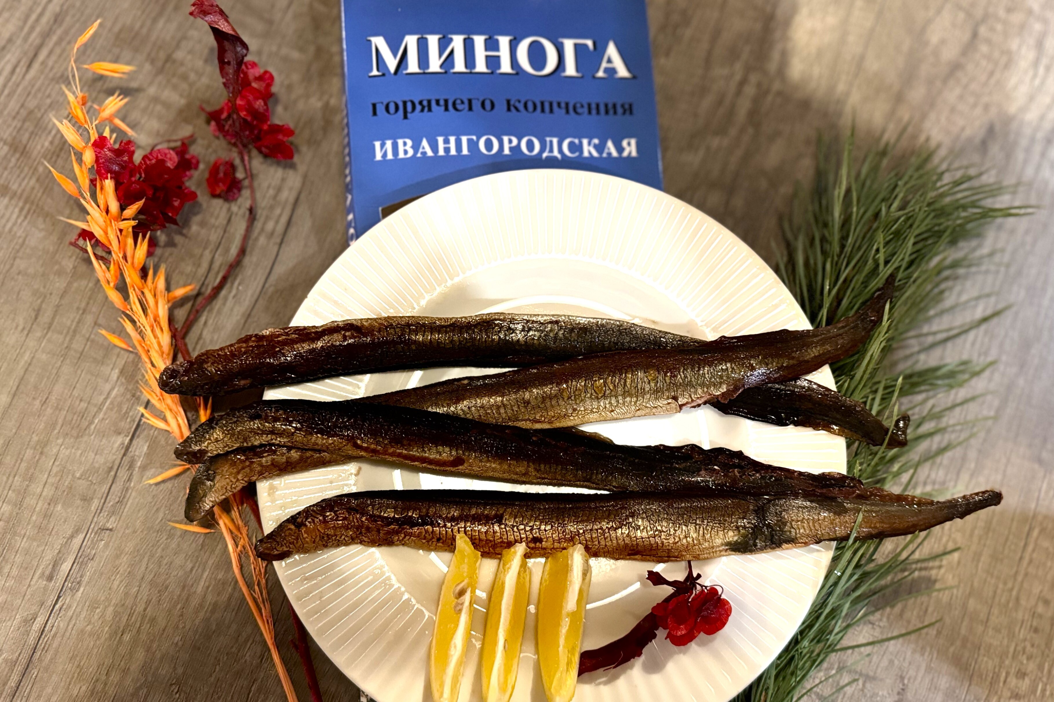 Ингерманландия - прекрасная Нарвская земля