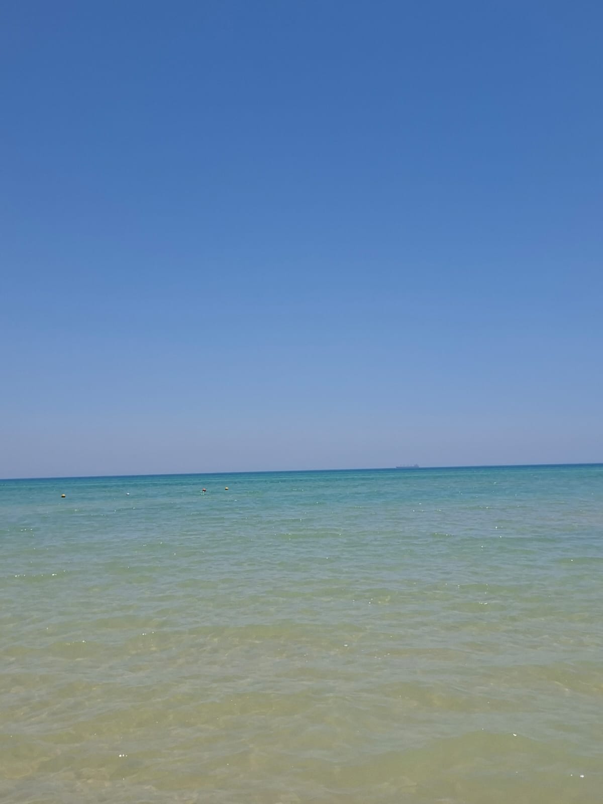 Чудеса Египта и отдых на море (26/31)