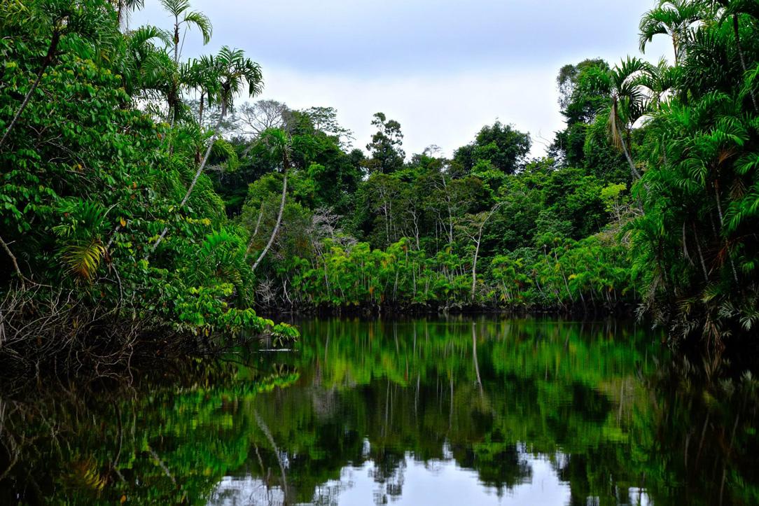 6 Days Escape Sale - Enchanting Amazon Adventure (14/28)