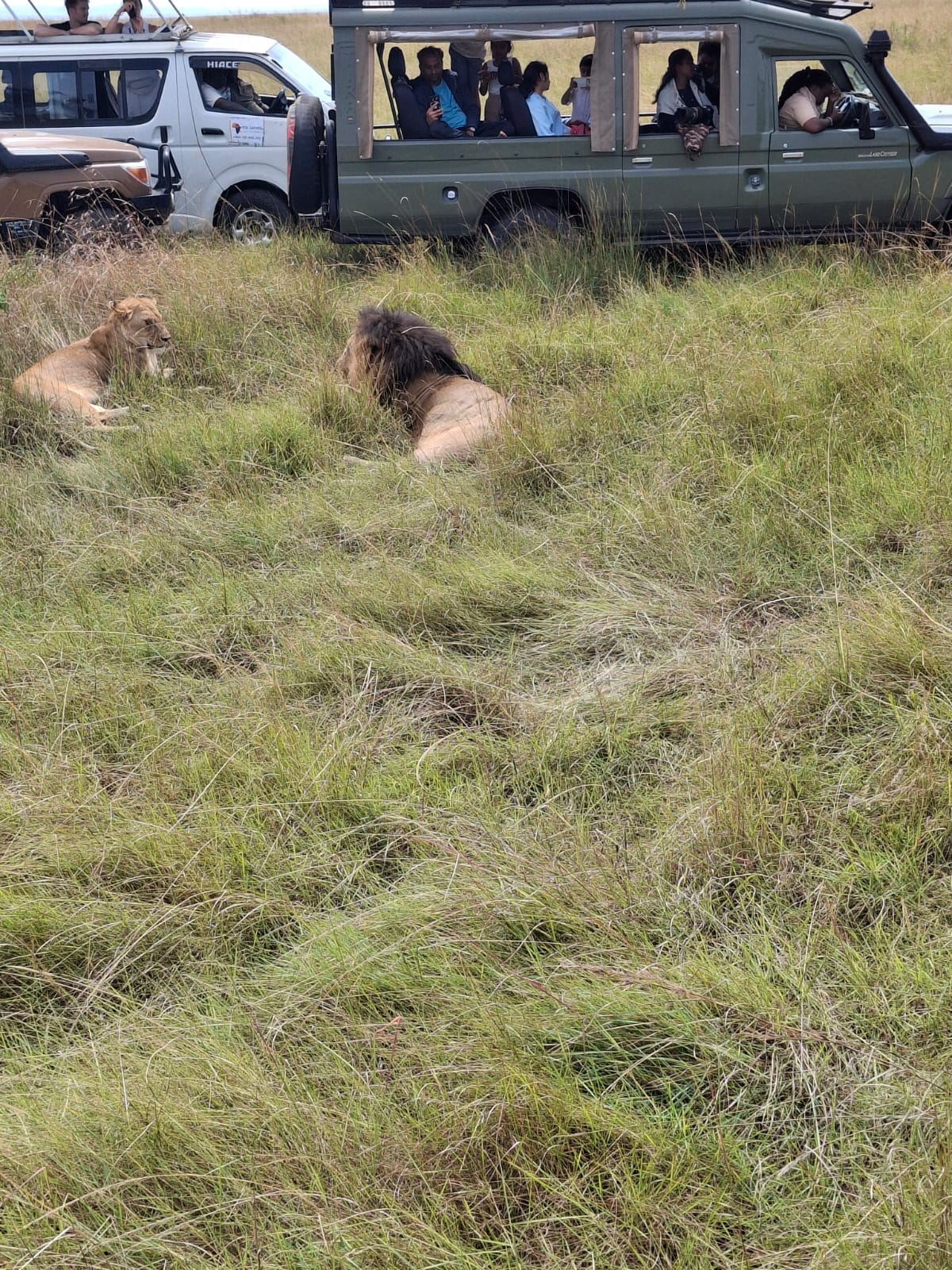 5-Day Kenya Safari: Lake Naivasha & Masai Mara Wildlife Adventure (5/16)