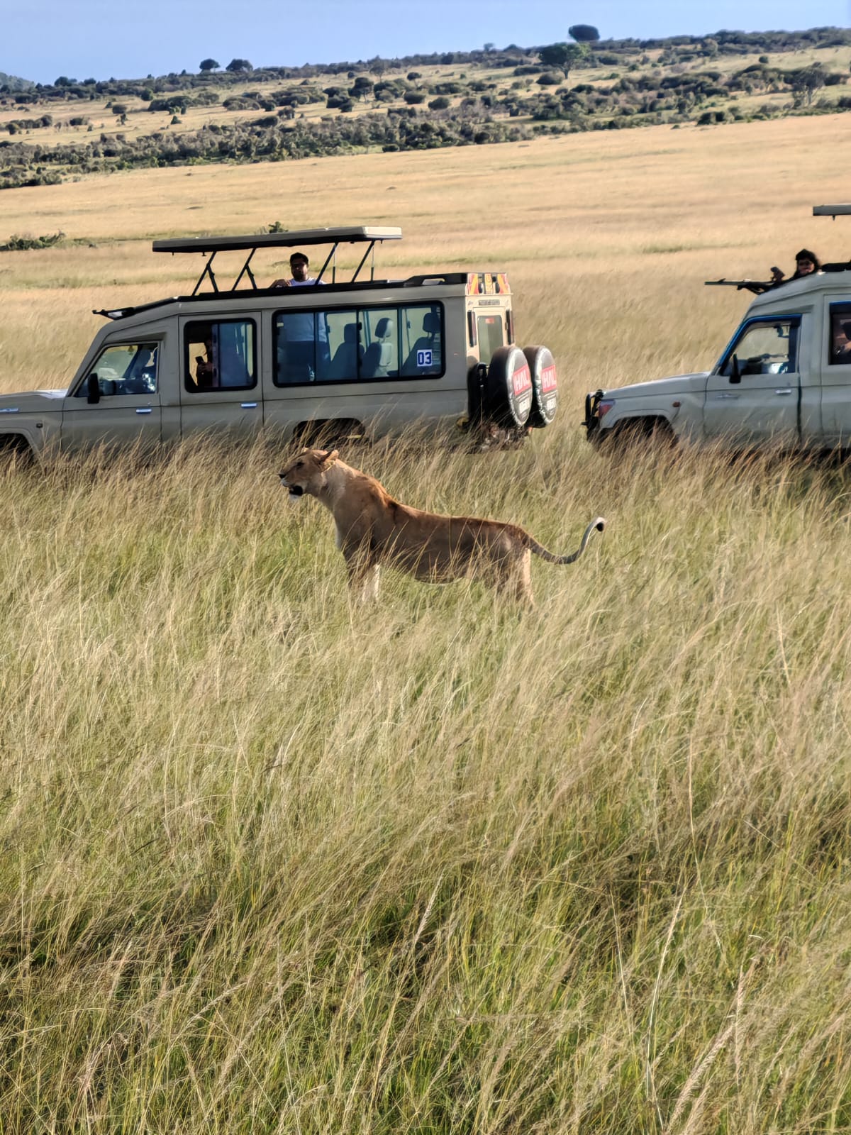 5-Day Kenya Safari: Lake Naivasha & Masai Mara Wildlife Adventure (8/16)