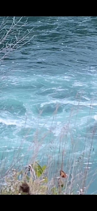 Тур “Три Столицы + Ниагарский водопад” (17/20)