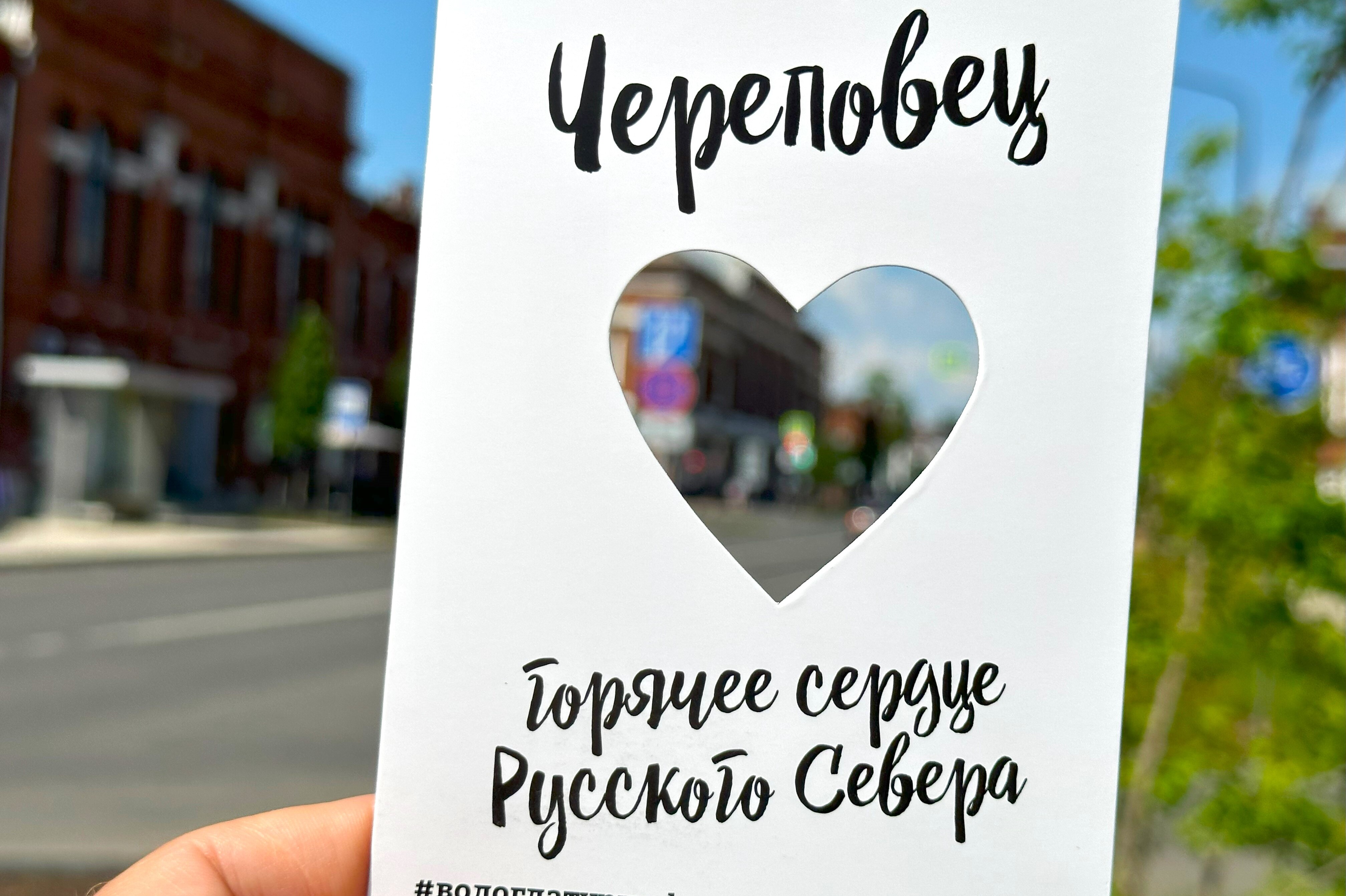 Вологодское диво (10/17)