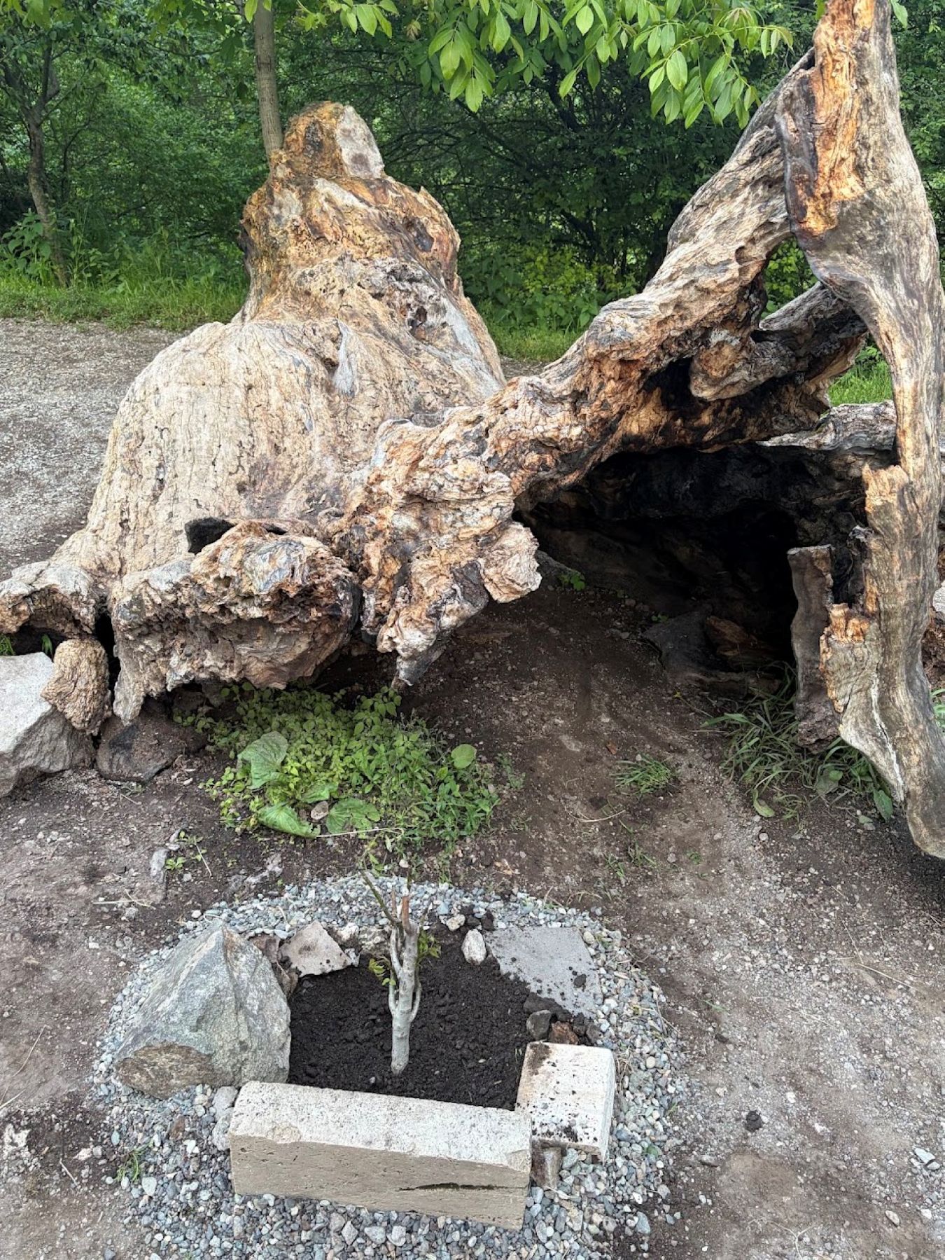 Севан — Старый Дилижан — Агарцин — Гошаванк (17/44)