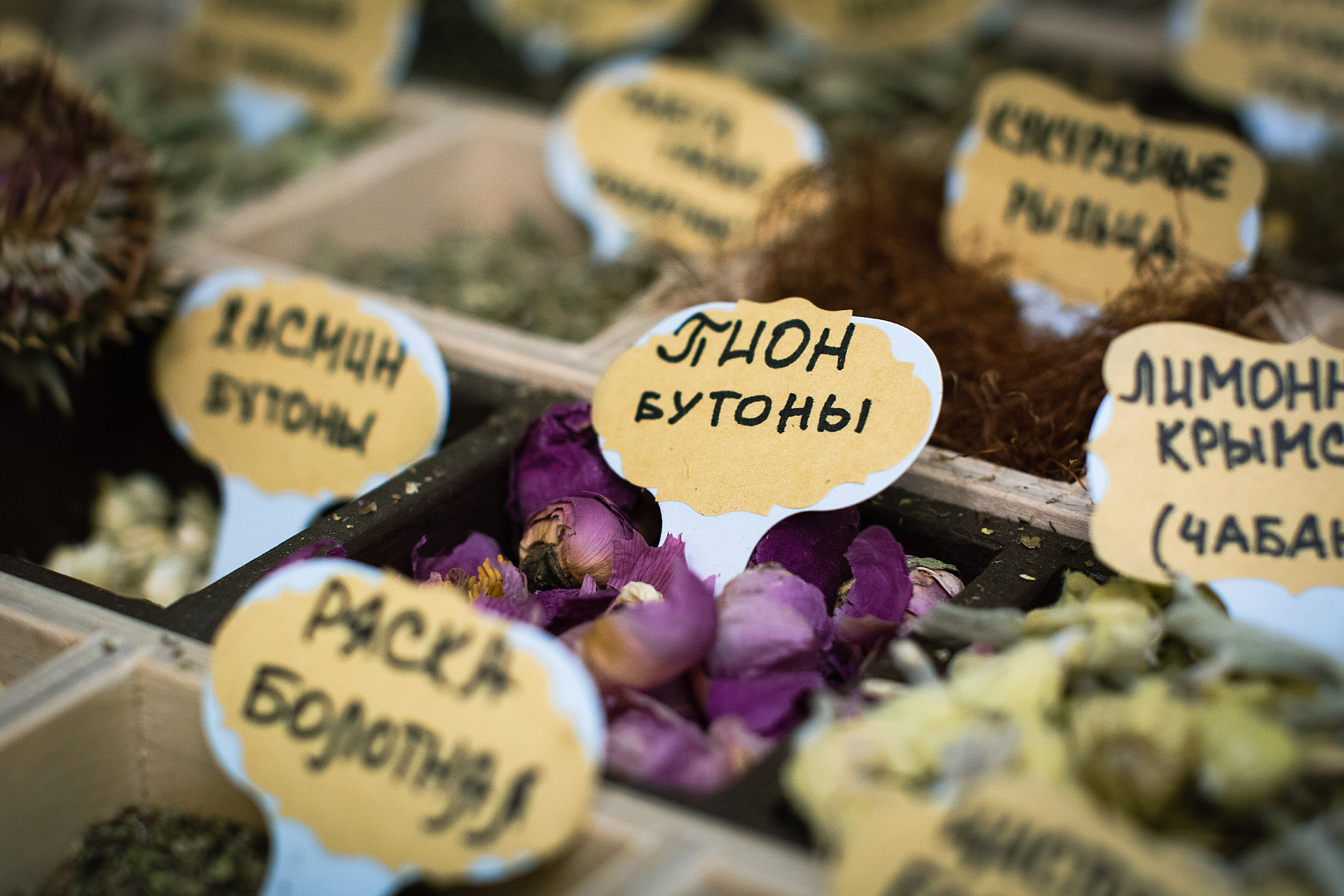 Пряные да медовые тайны Мещёры