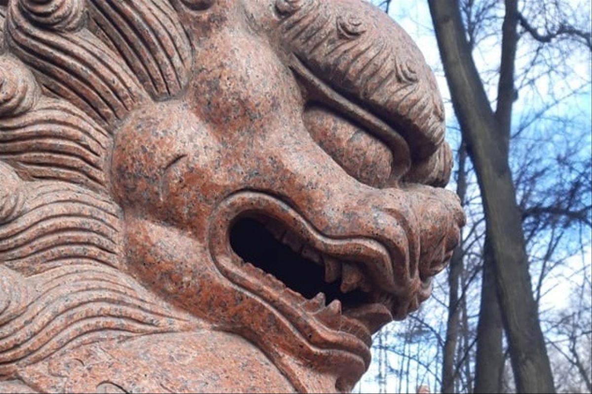 Японская осень в Петербурге