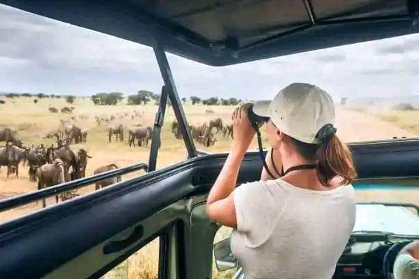 8-Day Kenya Grand Safari: From Mount Kilimanjaro to the Maasai Mara (17/24)