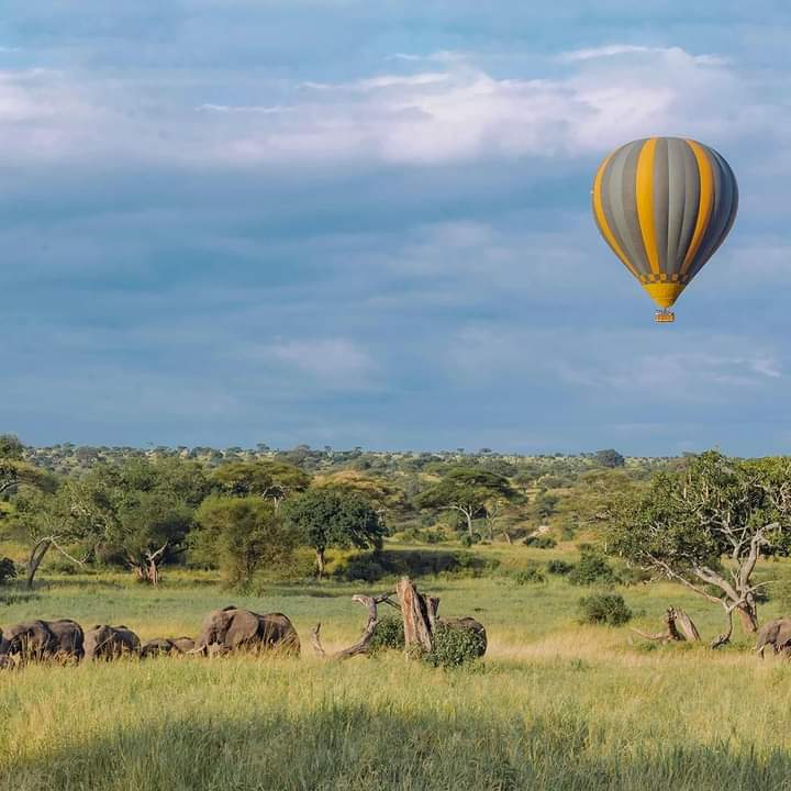 8-Day Kenya Grand Safari: From Mount Kilimanjaro to the Maasai Mara (8/24)