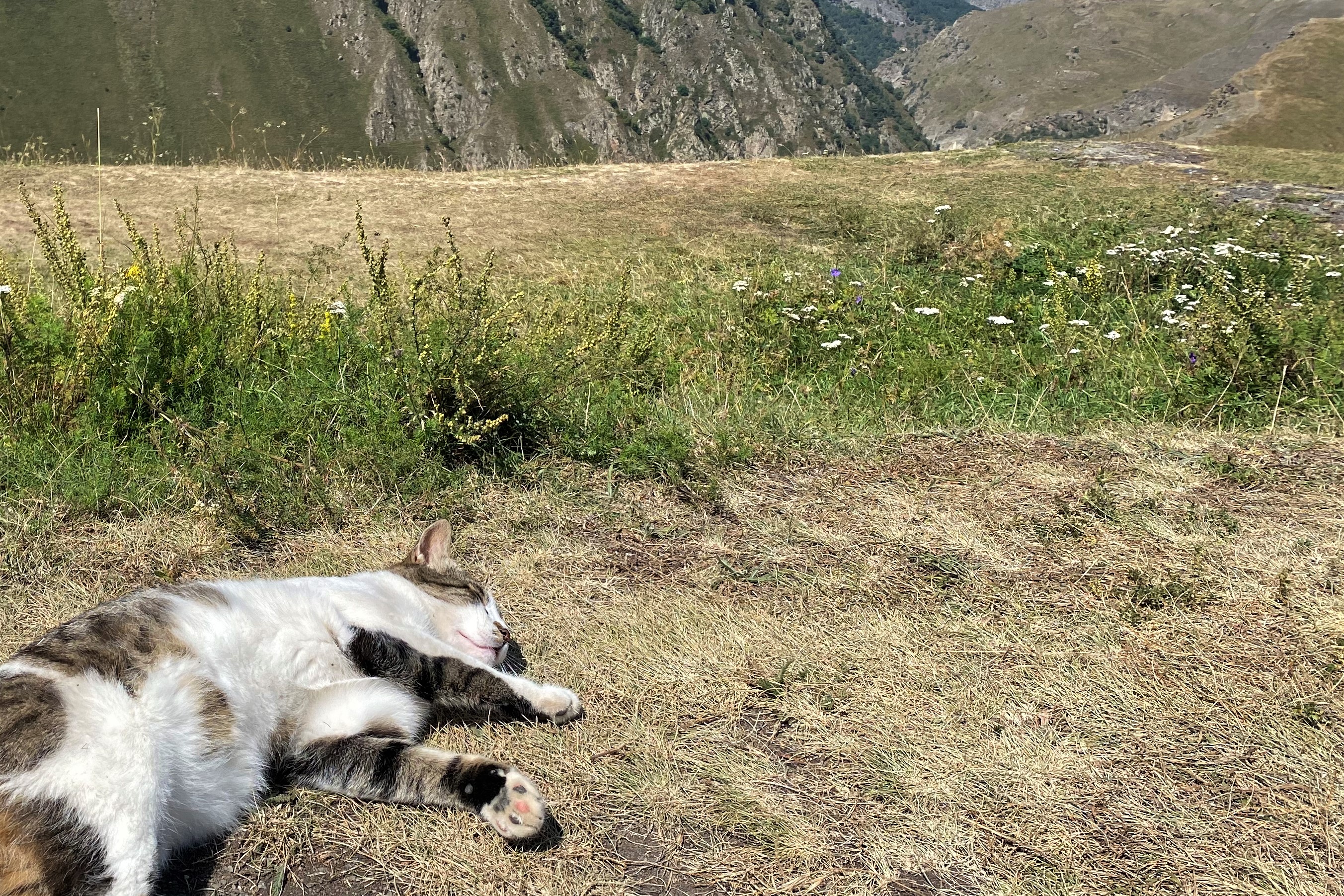 В сердце Дигории на 2 дня (7/16)